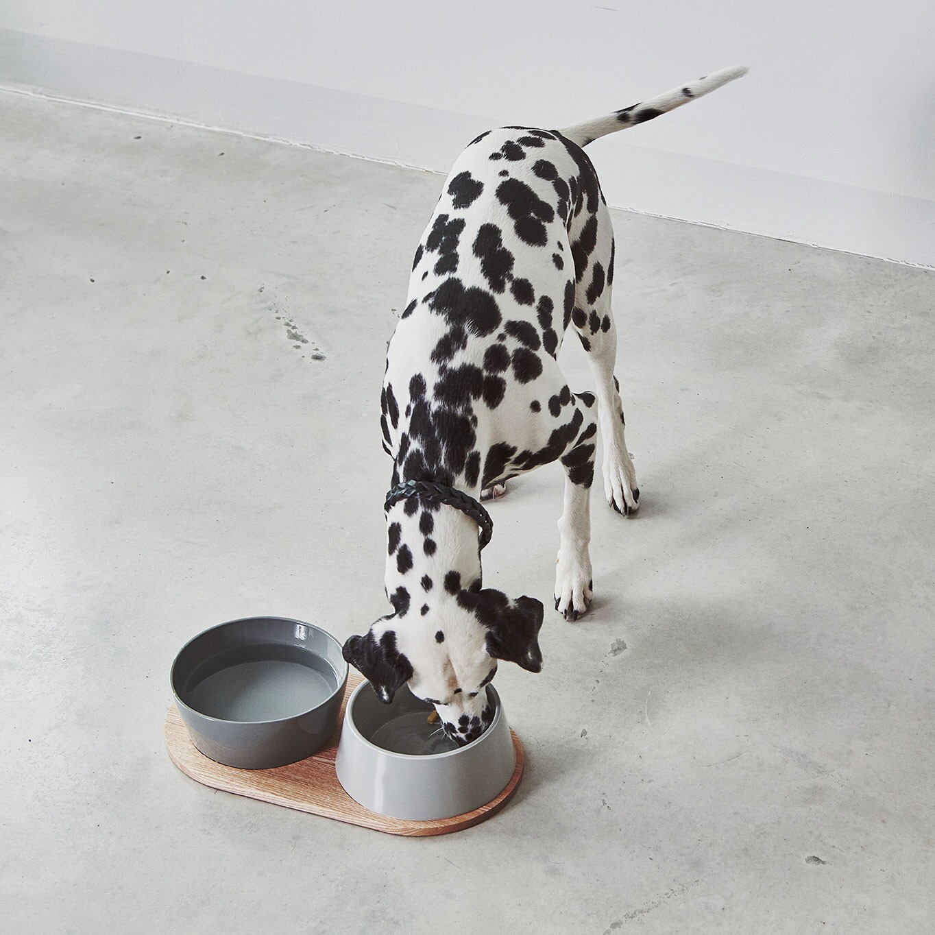 Doppio Set of 2 Dog Bowls with Wooden Tray SM