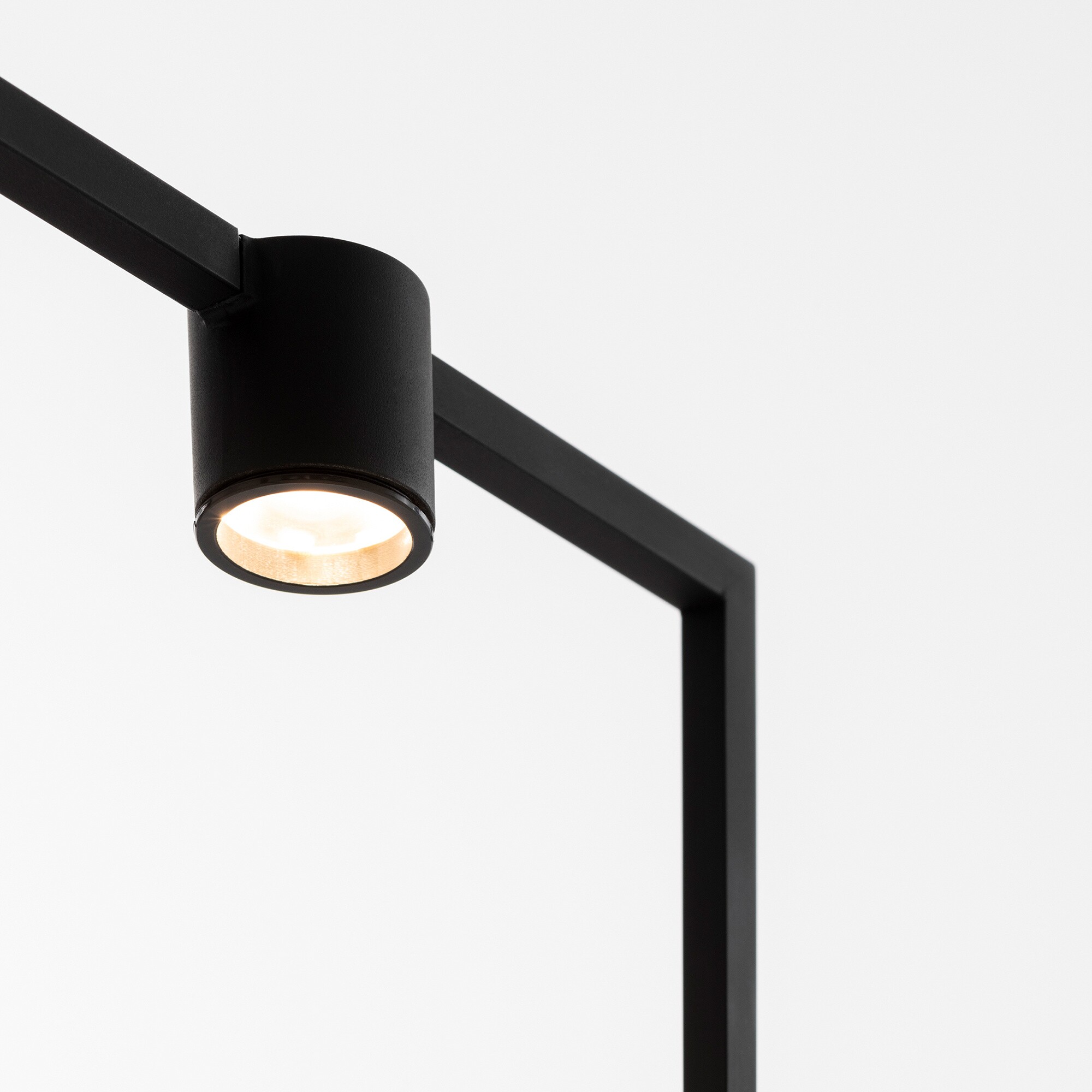 Curiosity 36 LED Table Lamp with Battery