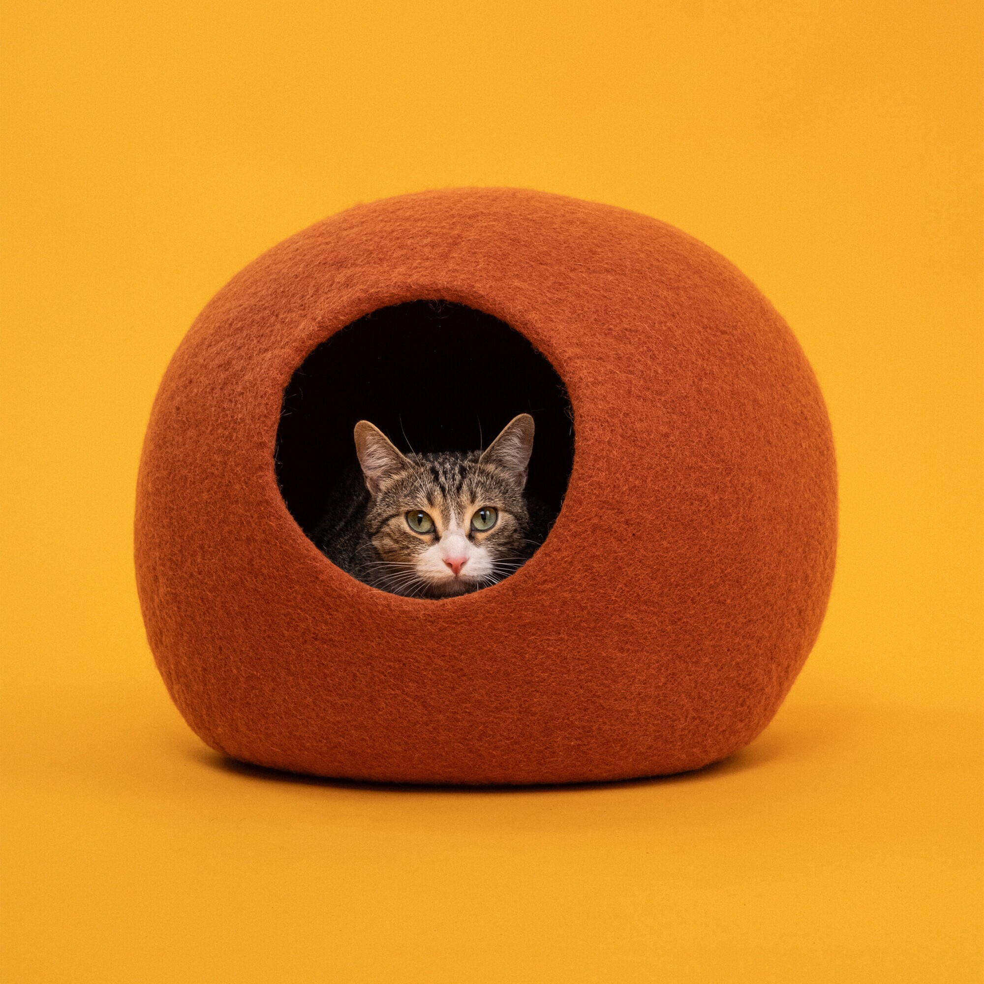 Lora Cat Cave