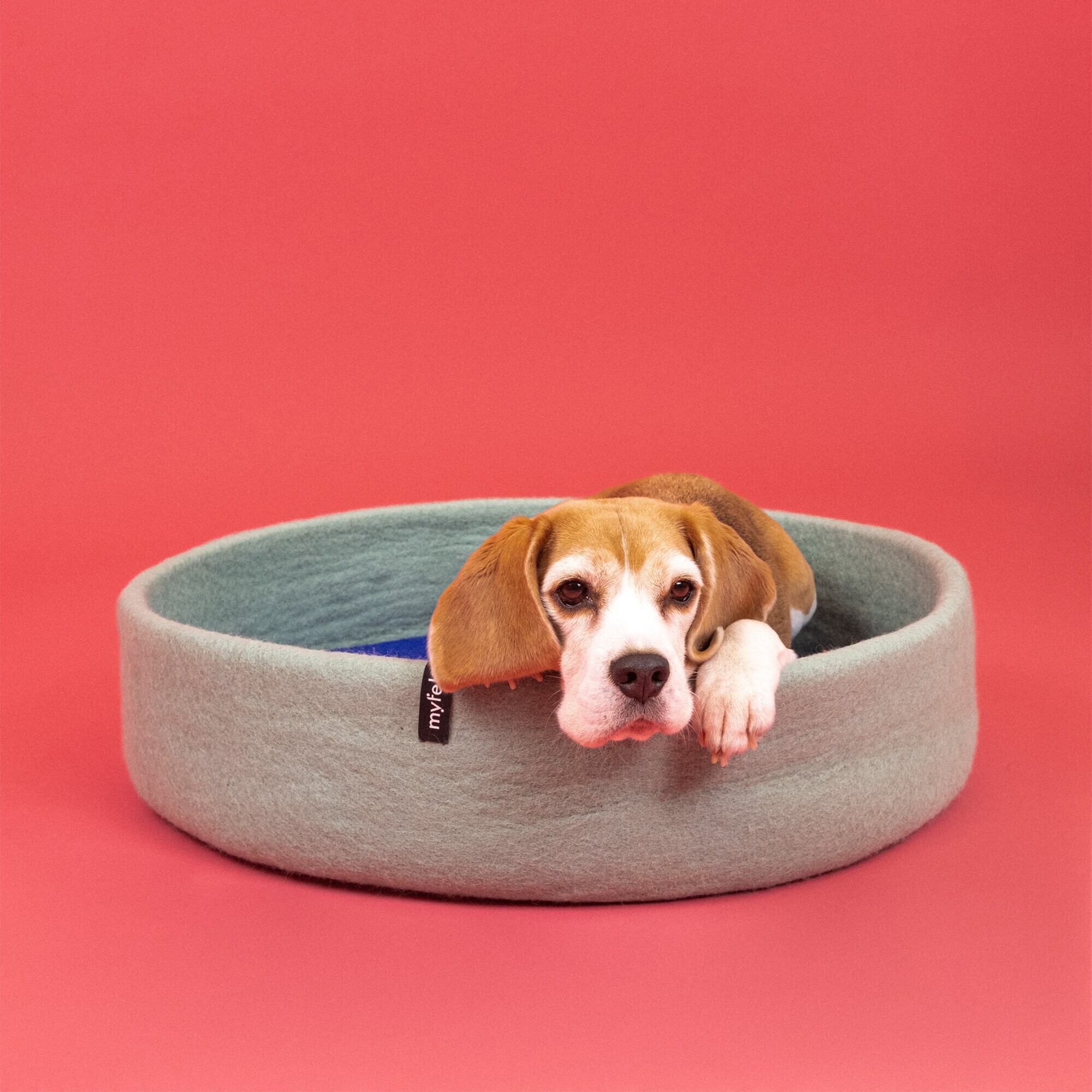 Fine Dog Basket Ø 60cm