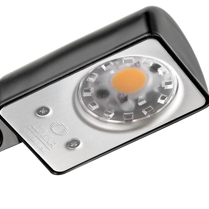 Daphine Cloe LED Desk Lamp