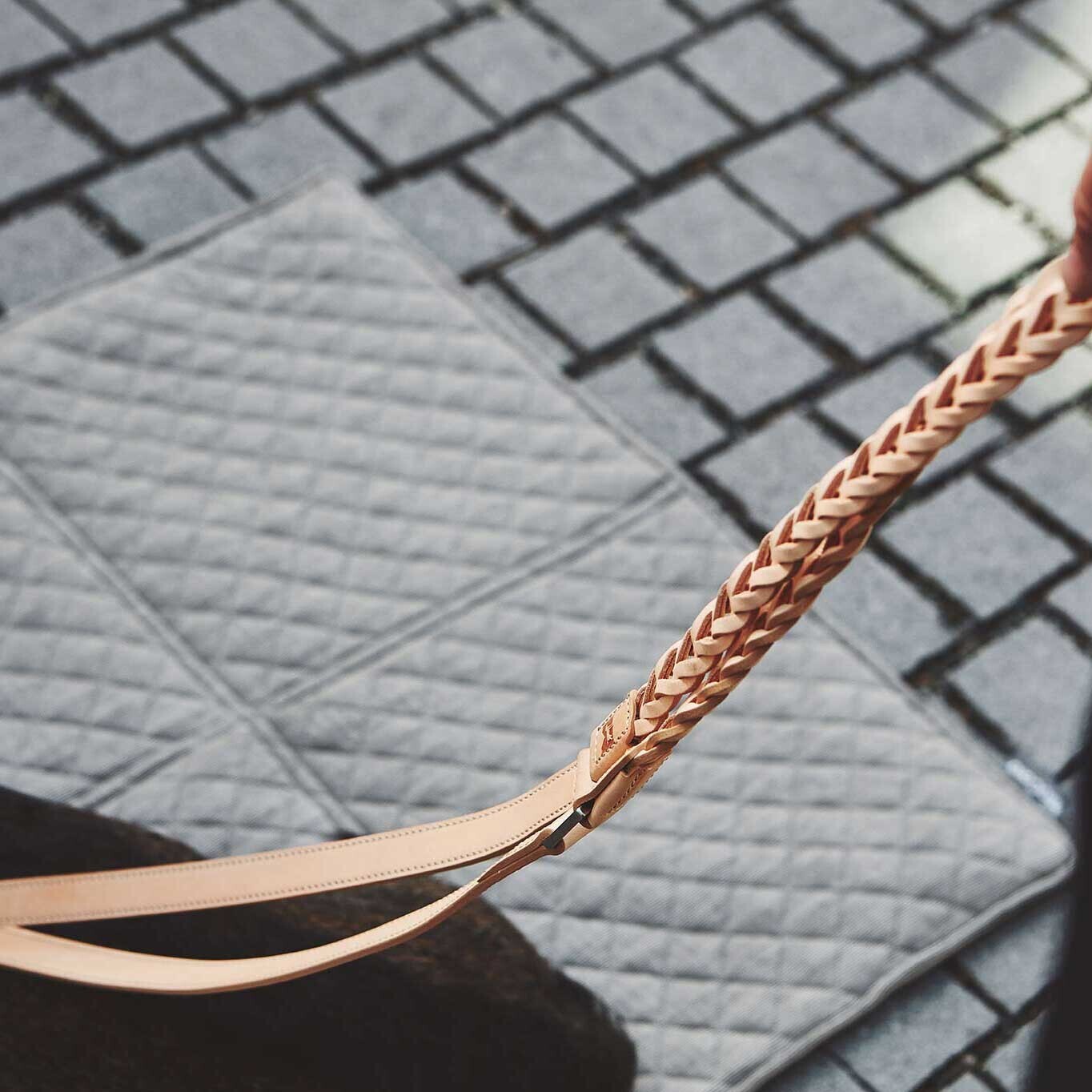 Bergamo Braided Dog Lead
