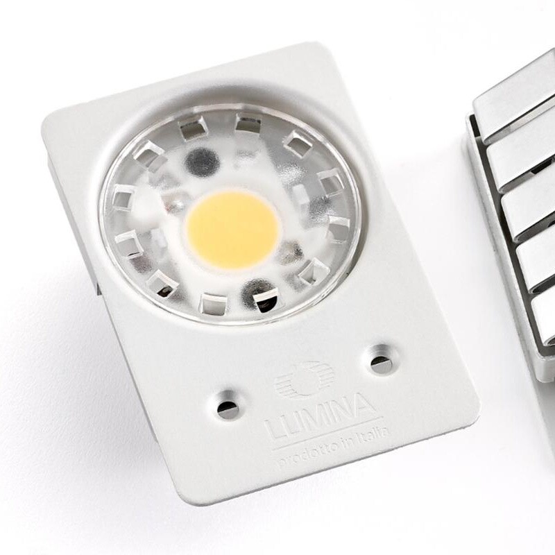 Daphine Cloe LED Desk Lamp