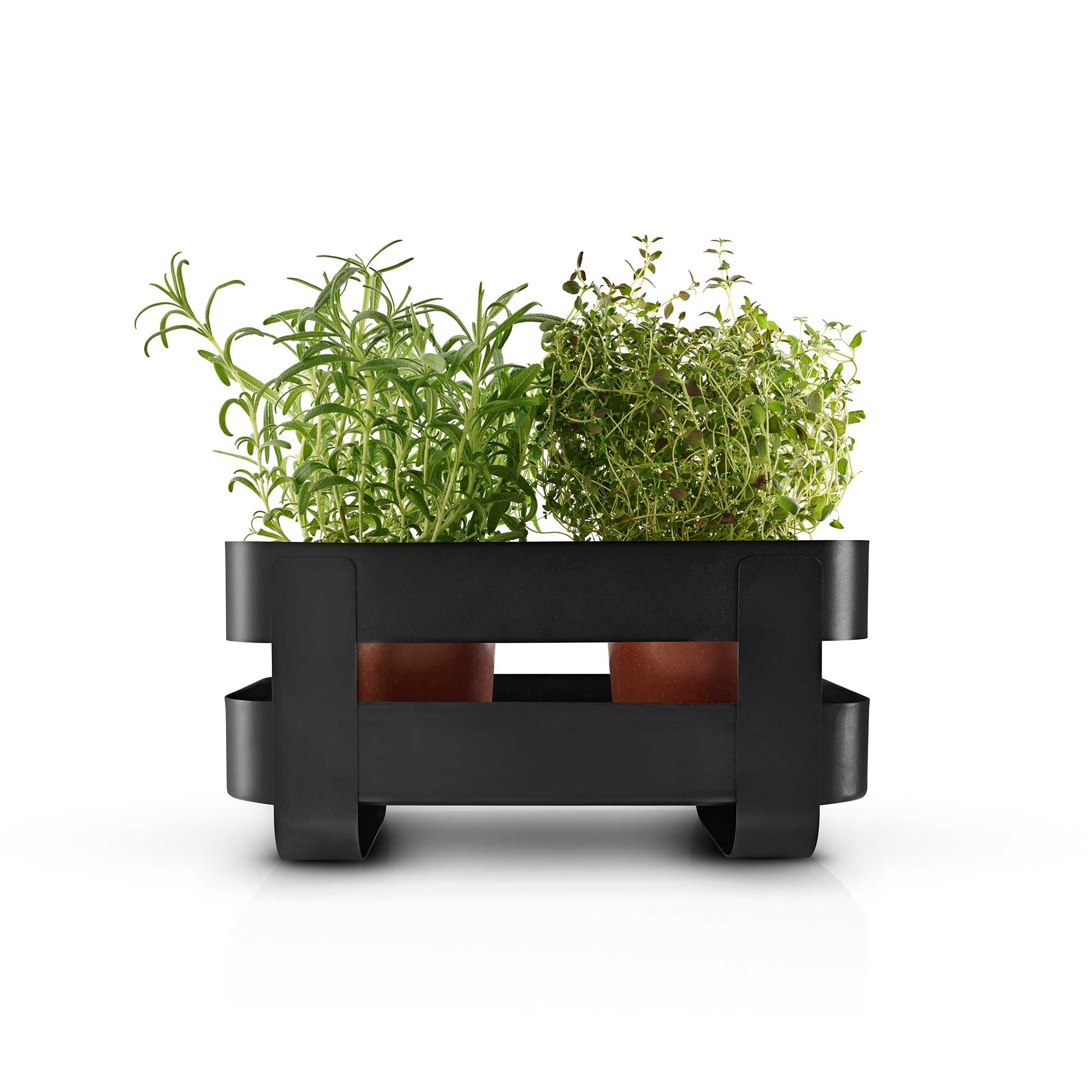 Herb Organiser with self-watering