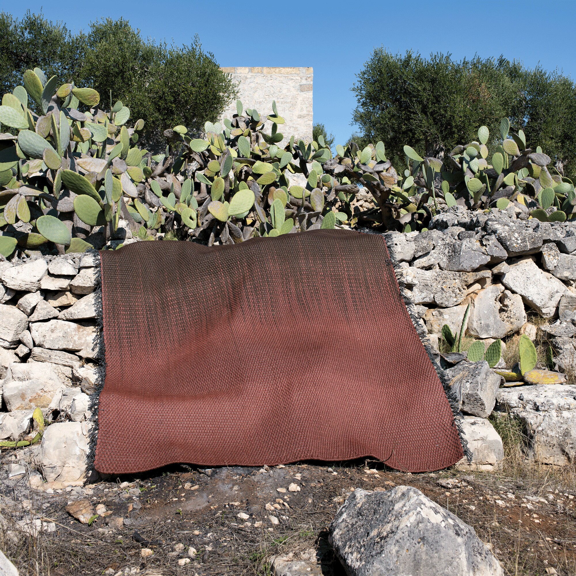 Mustache Outdoor Rug 200x300cm