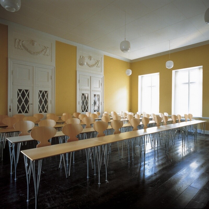 Ant™ Chair Wood Natural Veener