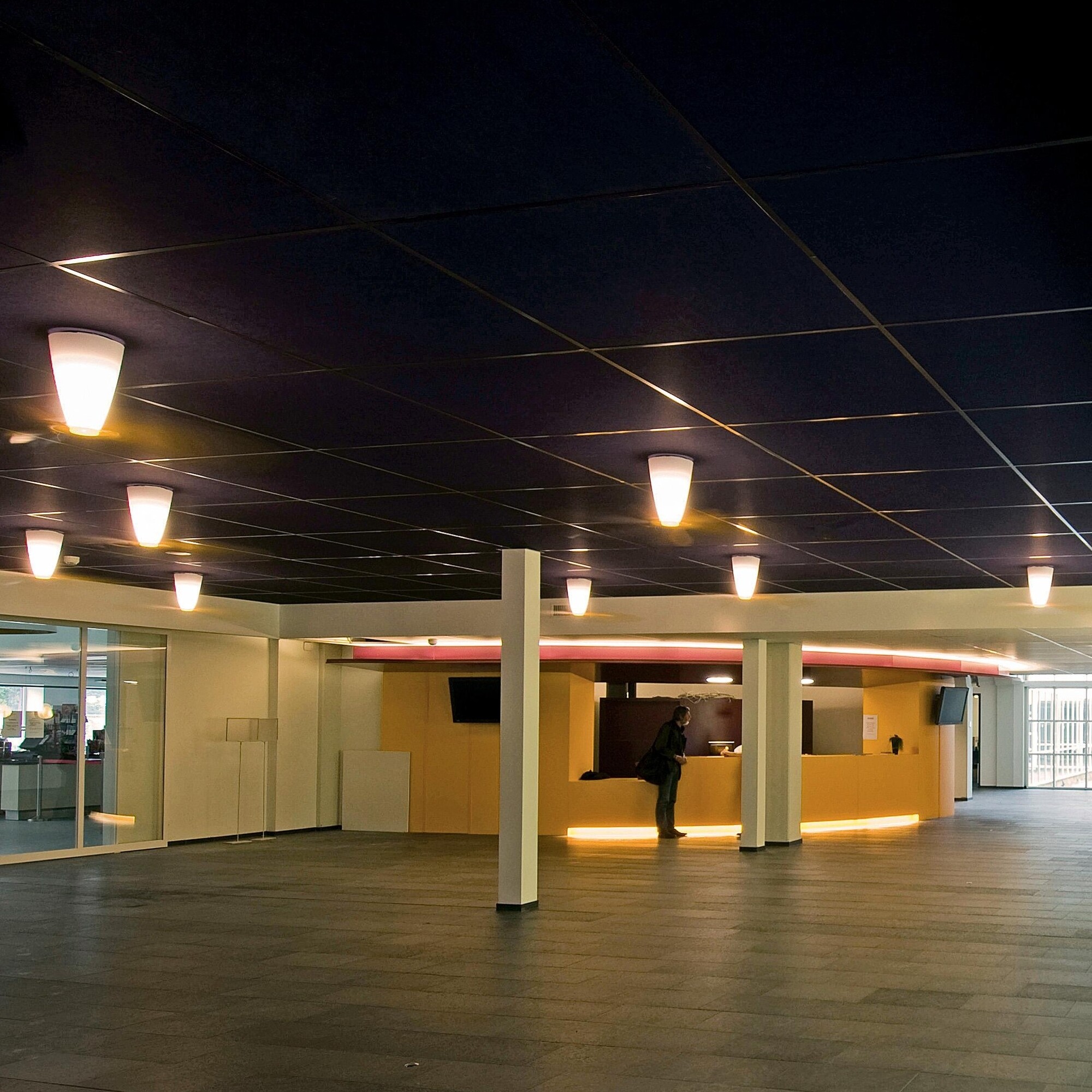 Blow D28 Ventilator and Ceiling Lamp