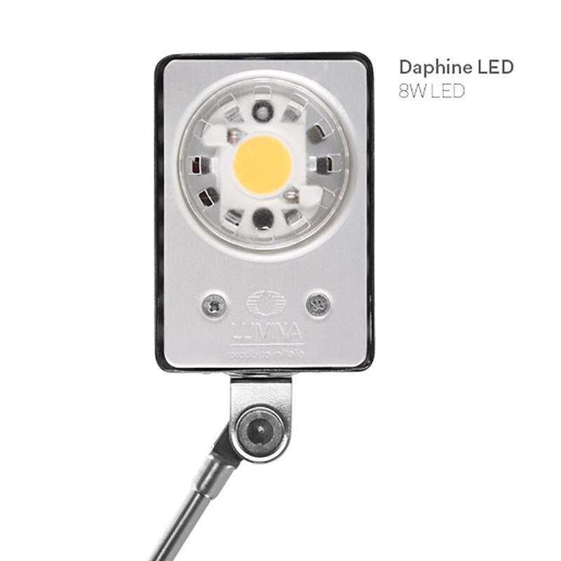 Daphine LED Desk Lamp