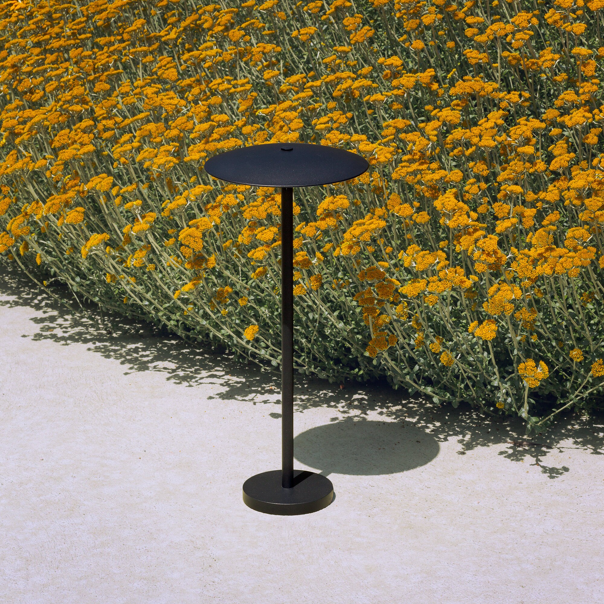 Ginger B 20/44 LED Bollard Lamp