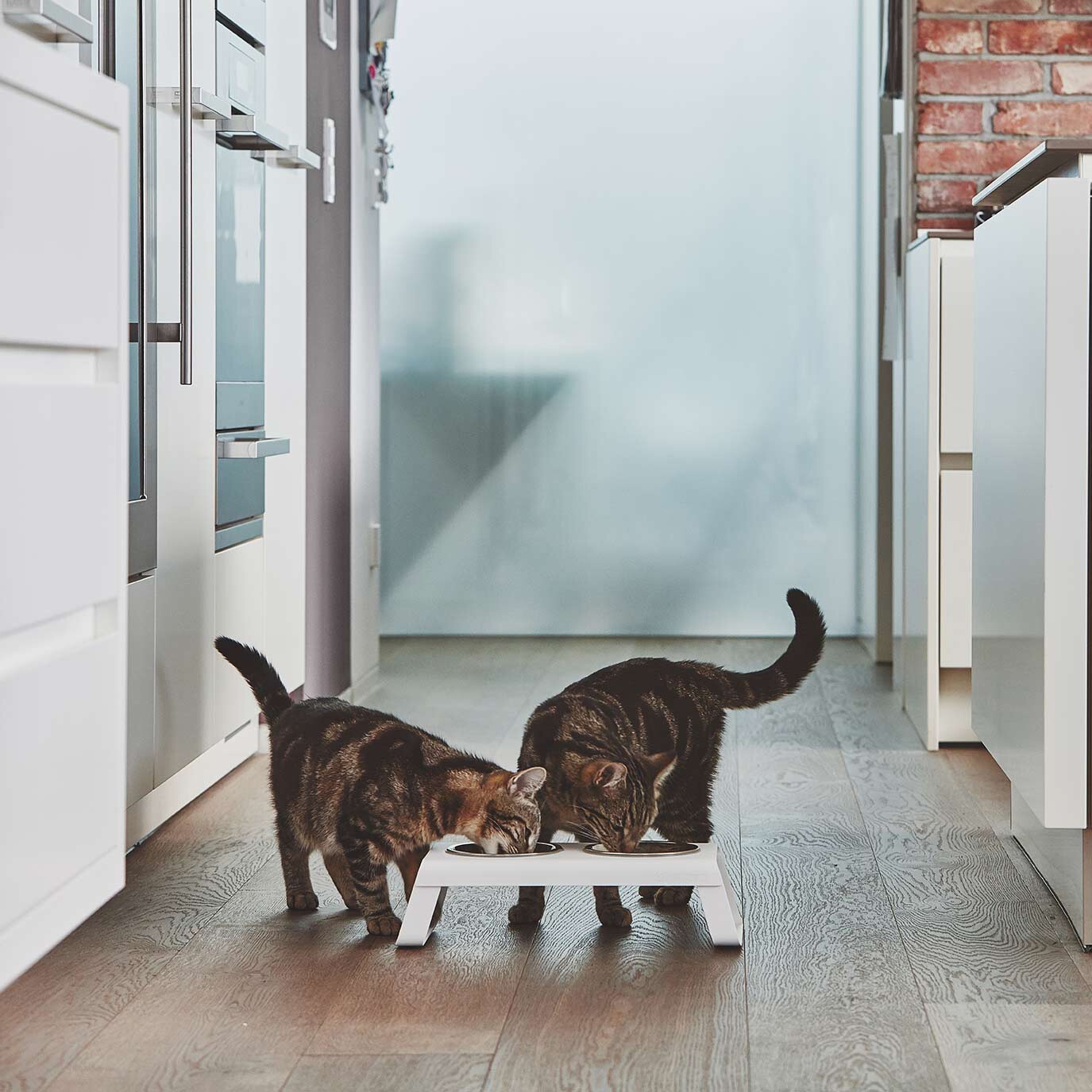 Desco Cat Bowl Stand S Aluminium