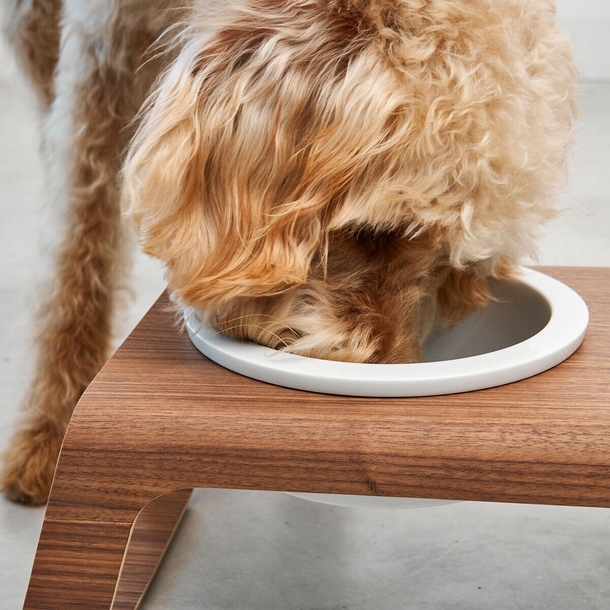 Desco Dog Bowl Stand Wood with Porcelain Bowls M