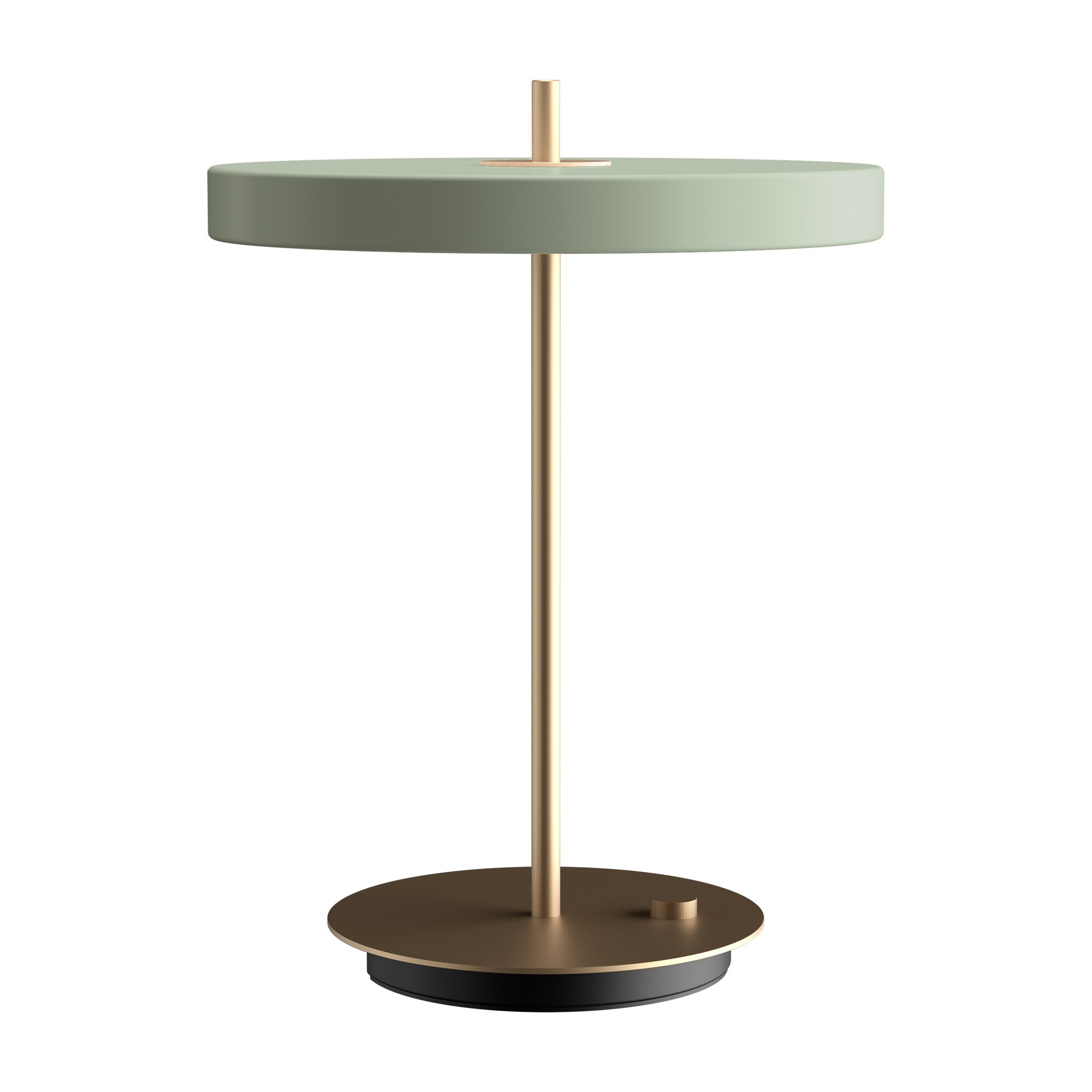 Asteria LED Table Lamp