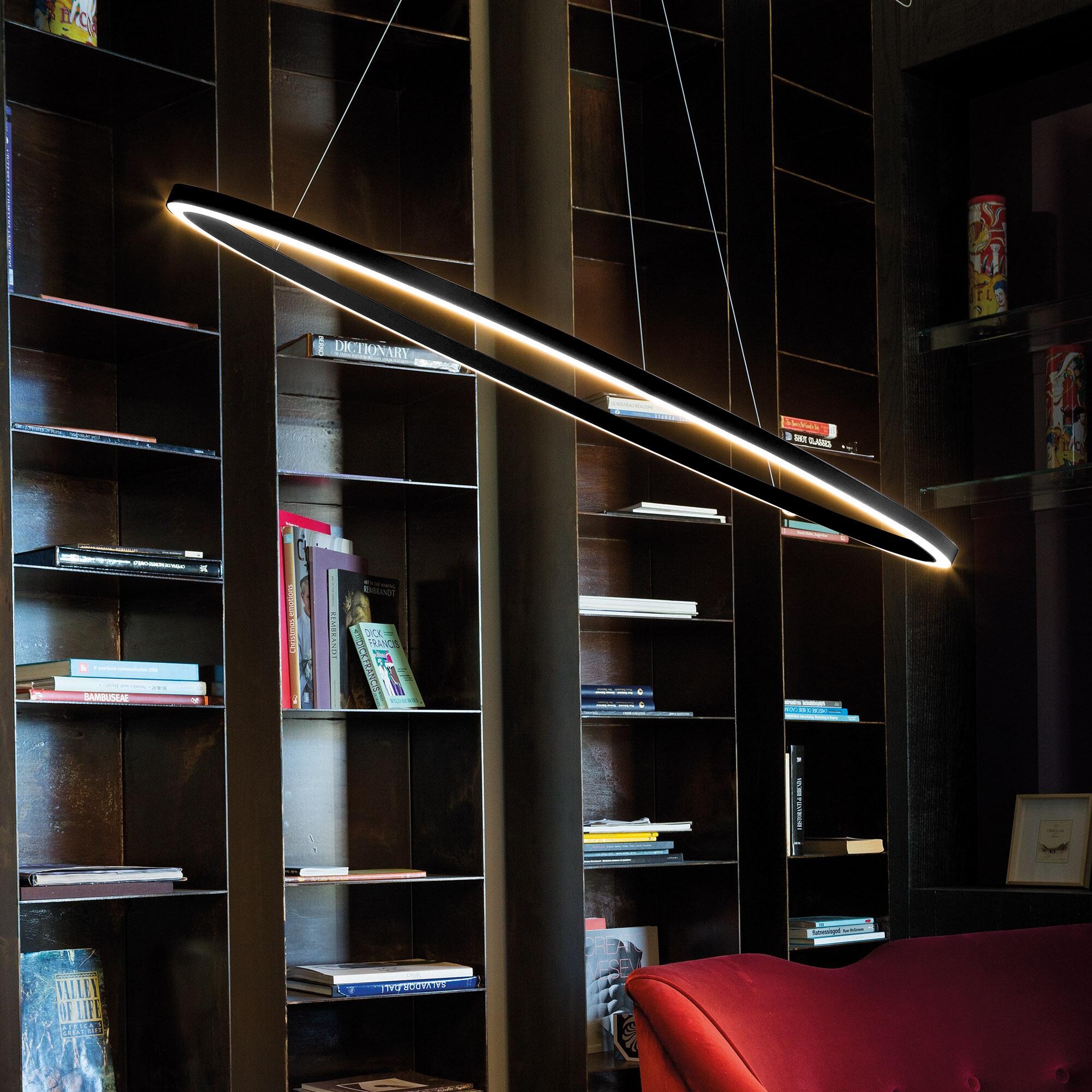 Ellisse Minor Downlight LED Suspension Lamp