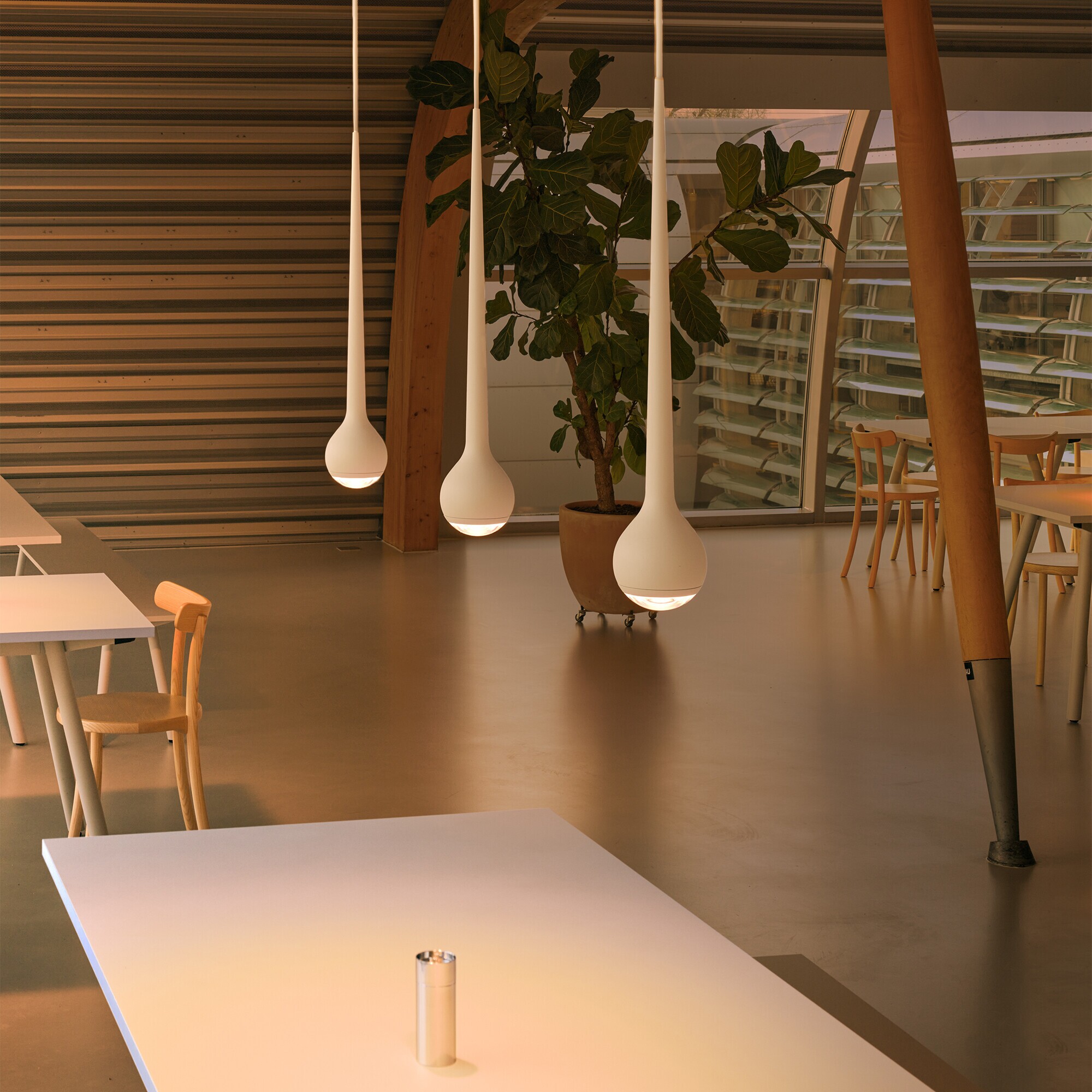 Falling Sun LED Suspension Lamp