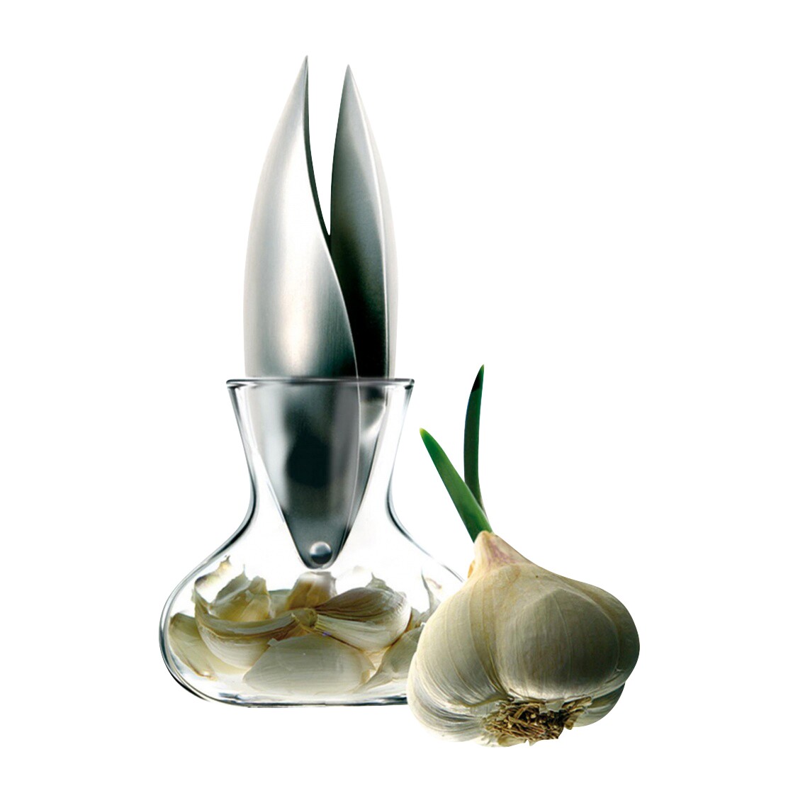 Garlic Press