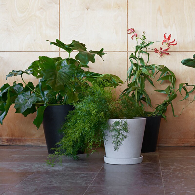 Flowerpot With Saucer XL