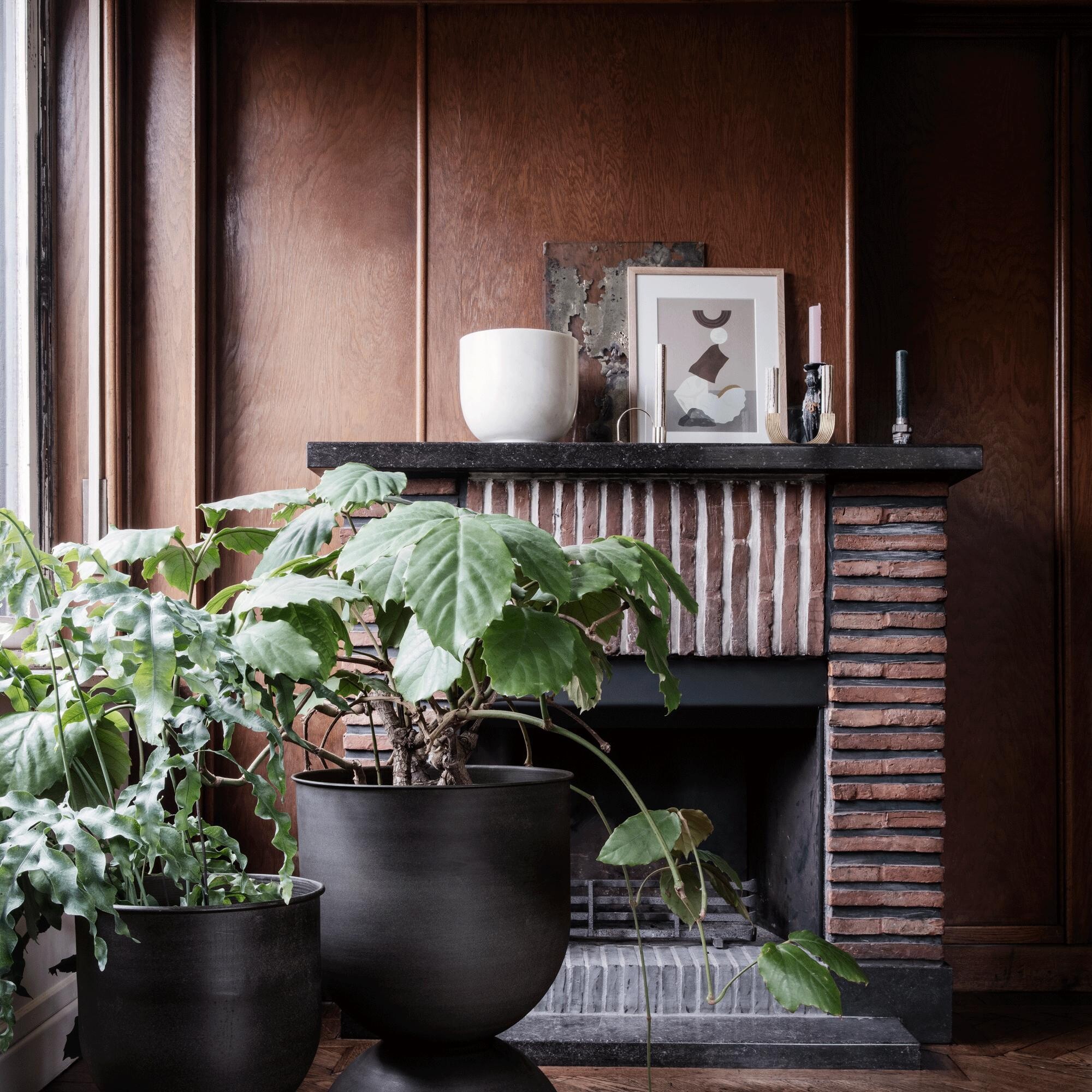 Alza Champagne Cooler