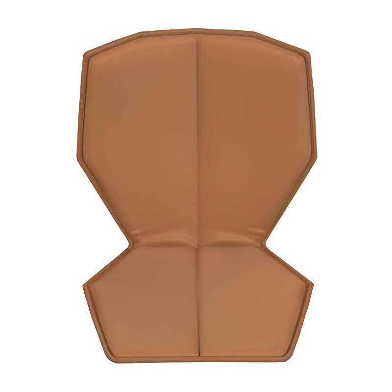 Chair One Seat and Back Cushion Leather