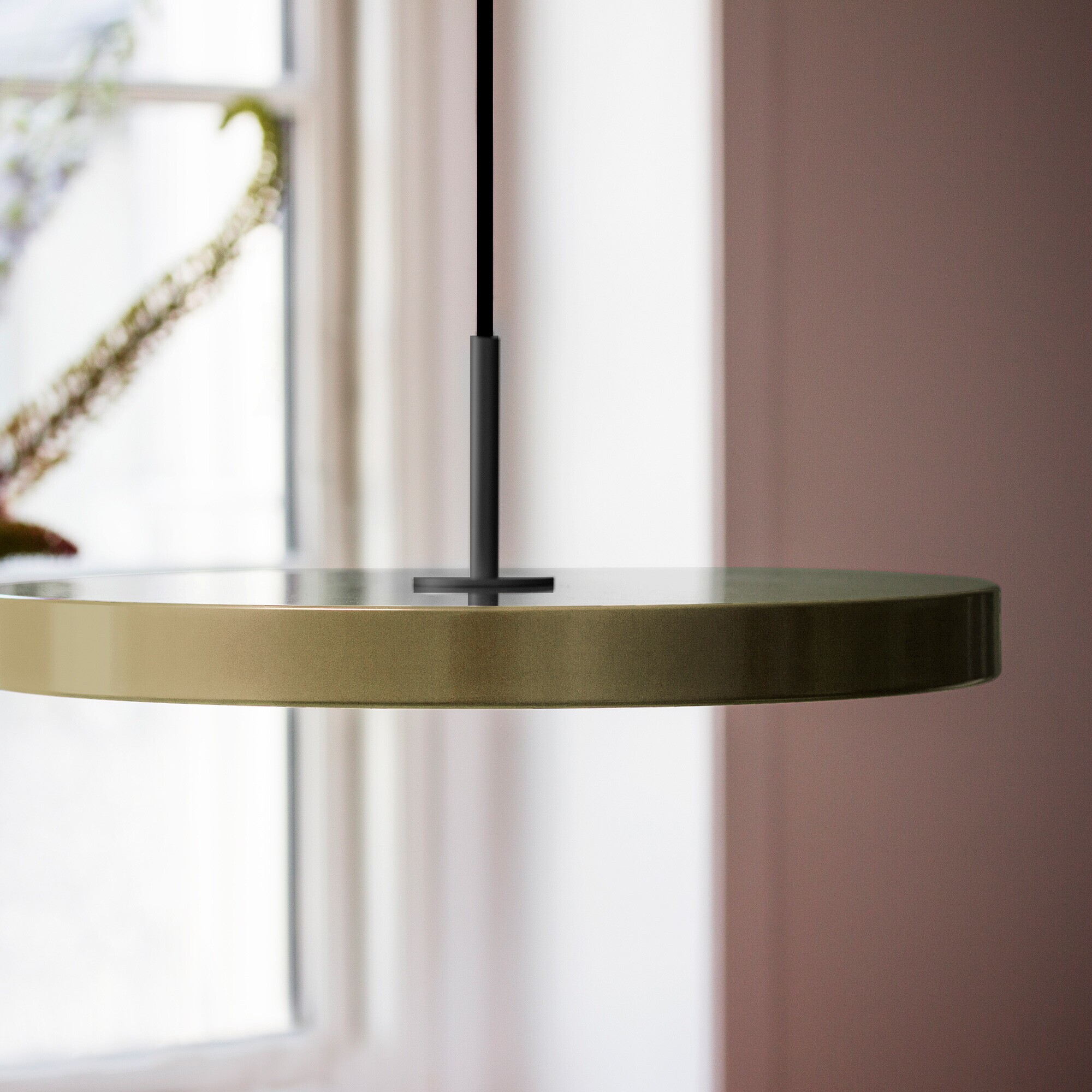 Asteria LED Suspension Lamp Black