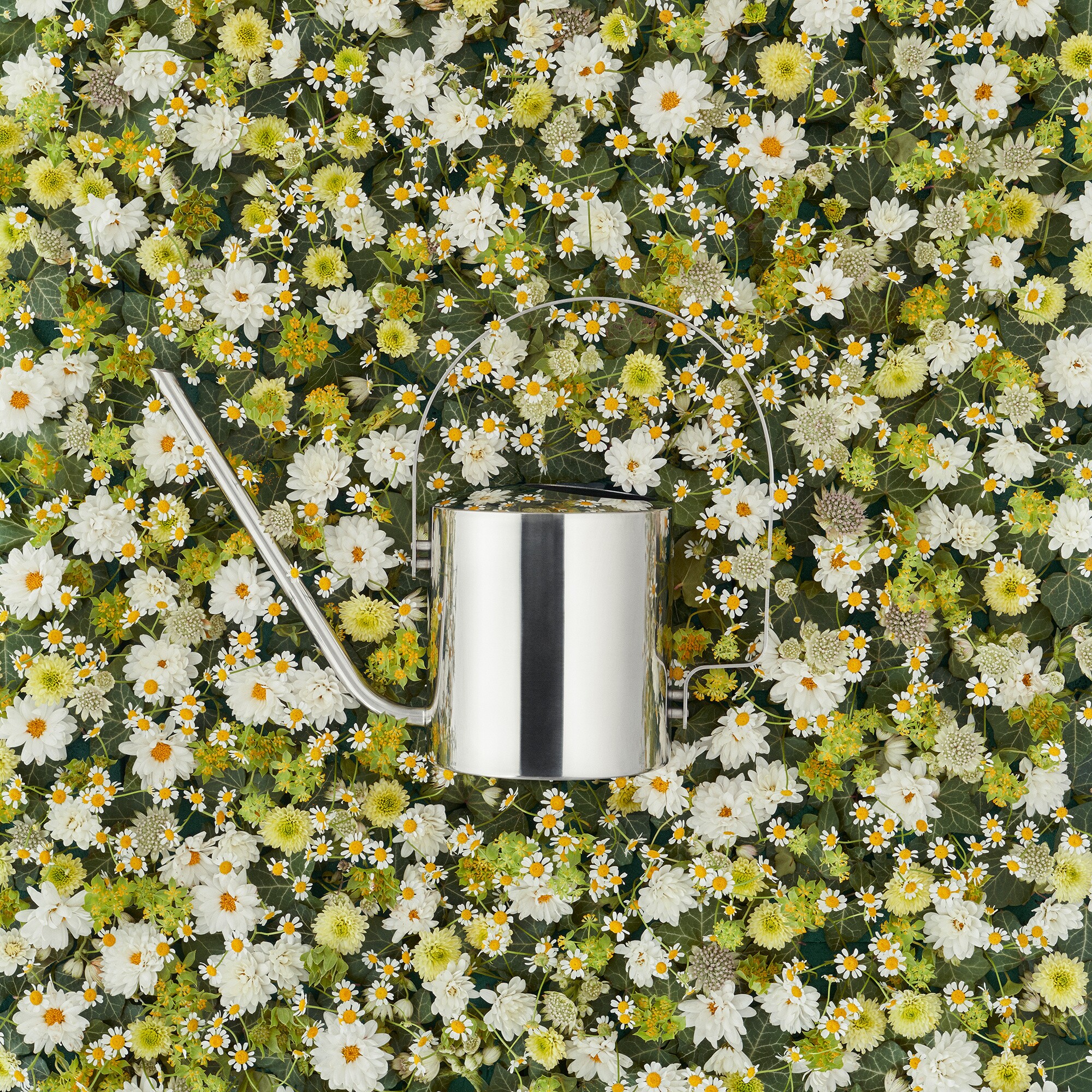 Original Flower Watering Can 1.7L