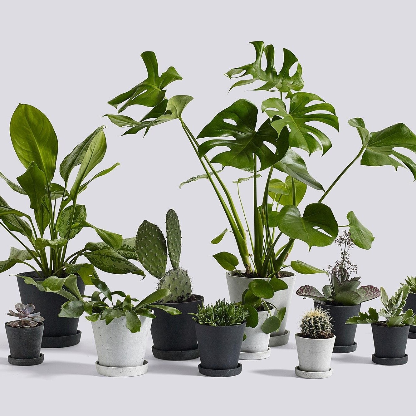 Flowerpot With Saucer L