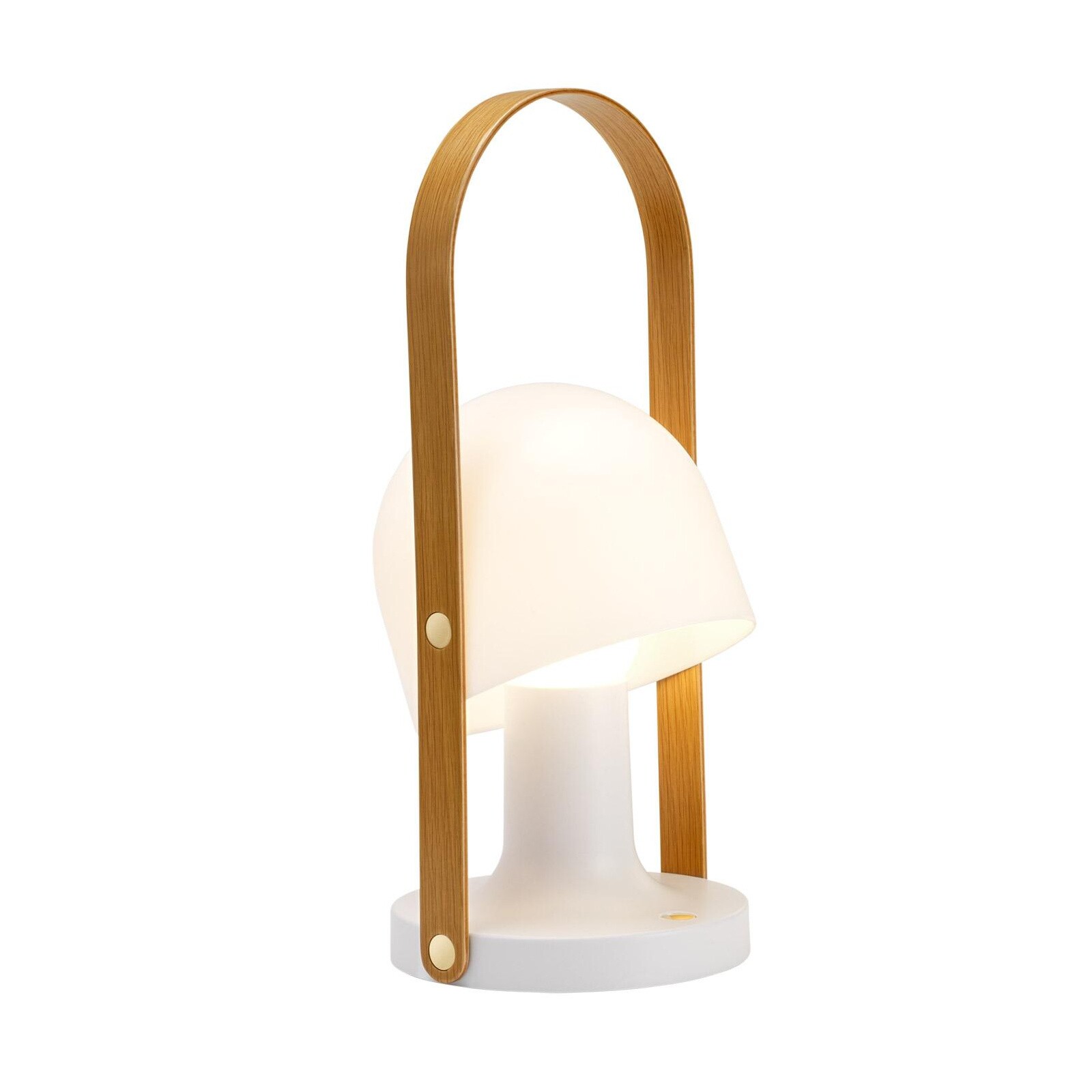 FollowMe Plus LED Lamp with Battery