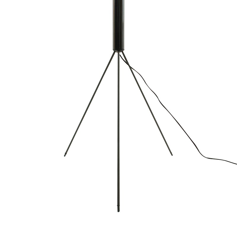 Luminator Floor Lamp