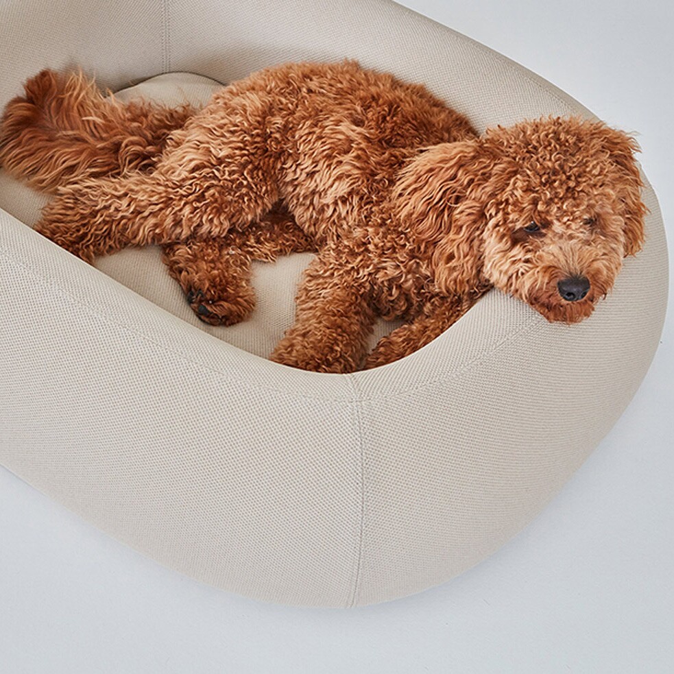 Barca Dog Bed ML