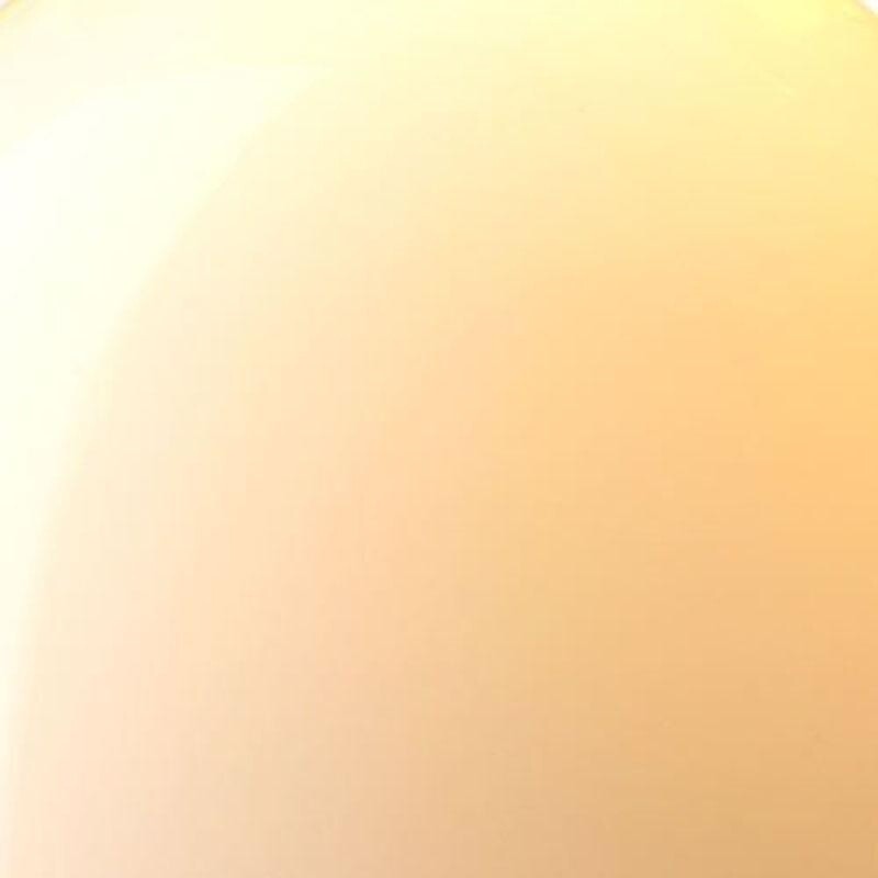 Bell Lamp Suspension Lamp