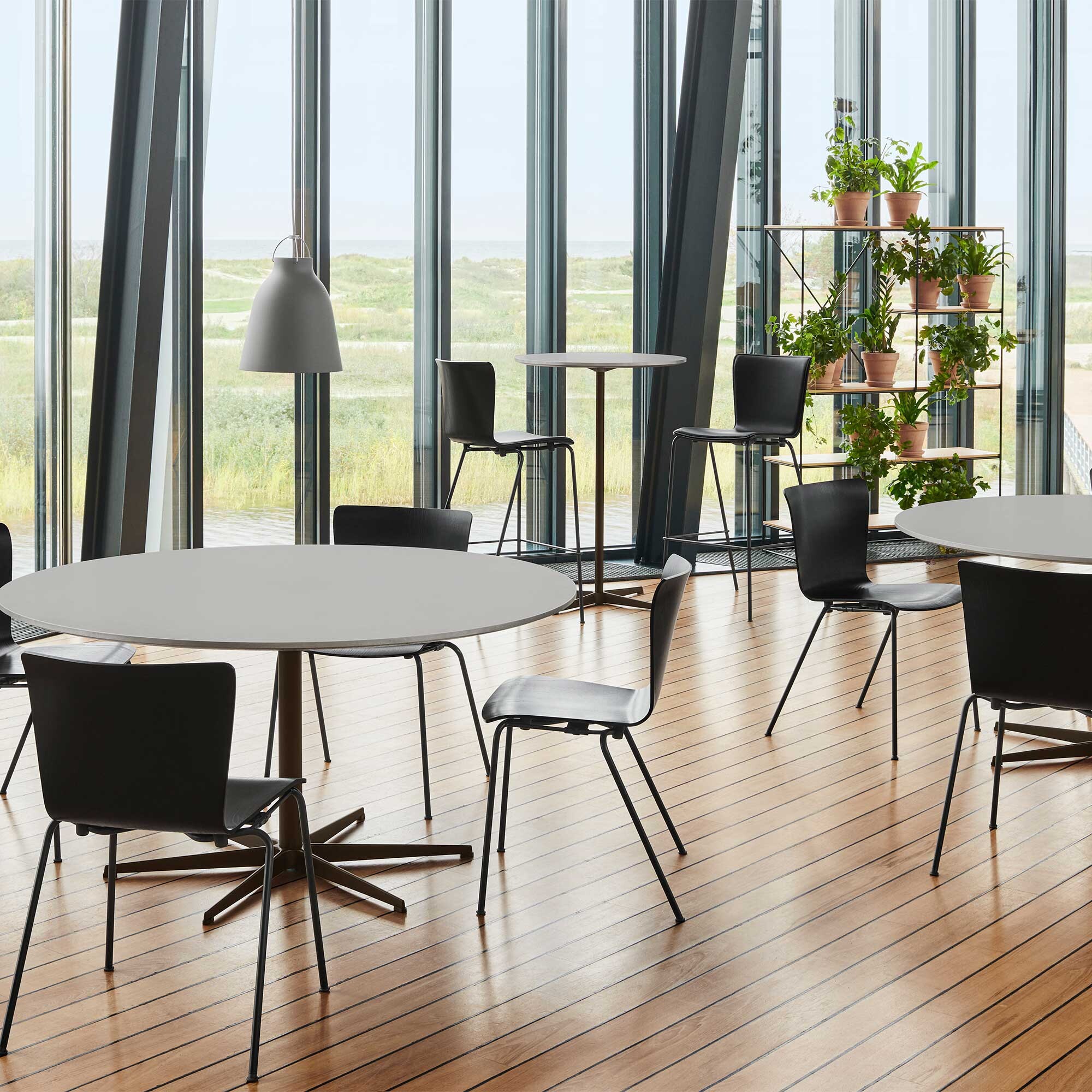 Caravaggio™ P2 Suspension Lamp Matt