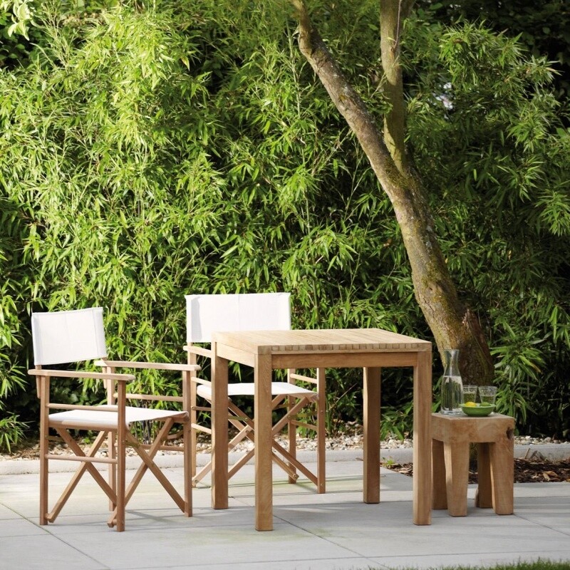 Maxx Director's Chair Set of 2