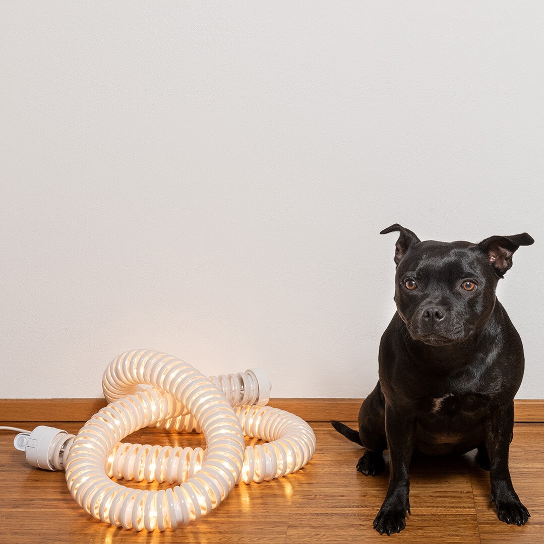 Boalum LED Table Lamp/ Floor Lamp  L 200cm