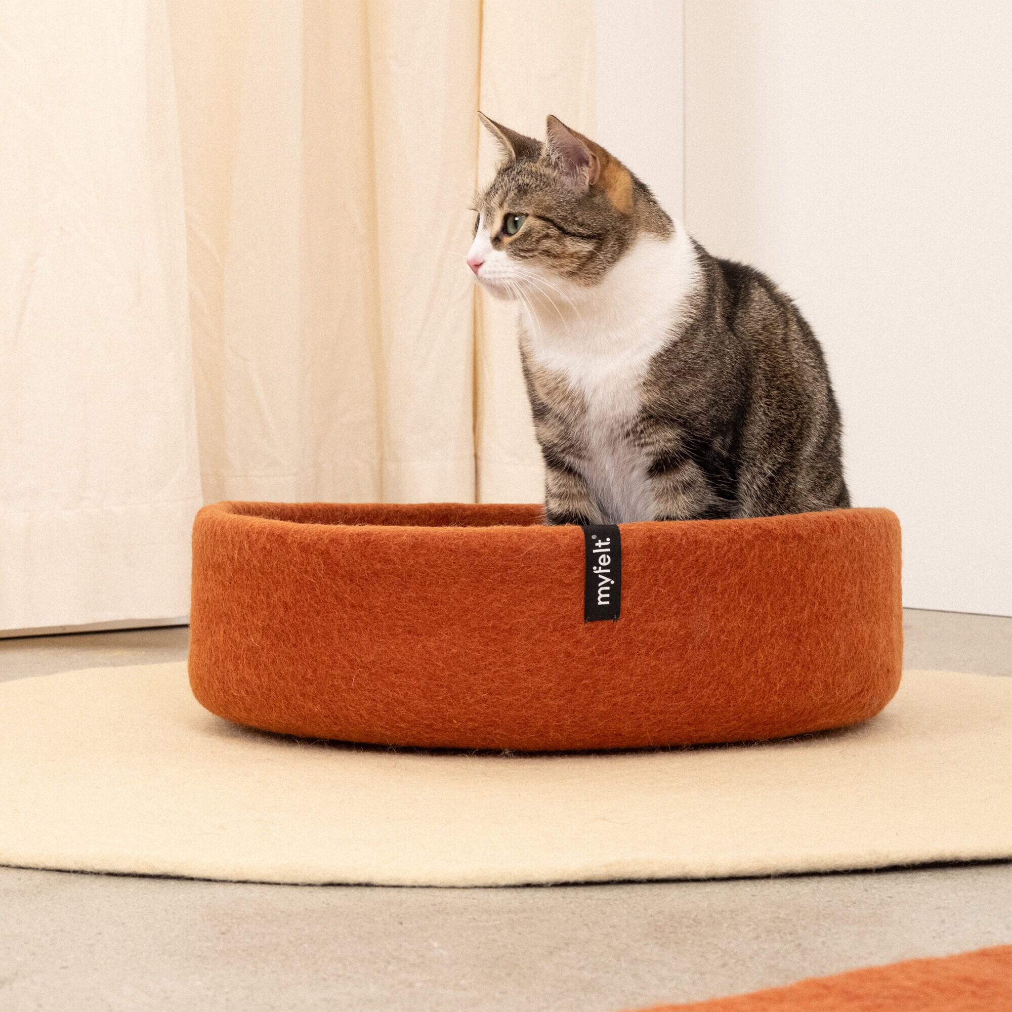 Lora Cat Basket