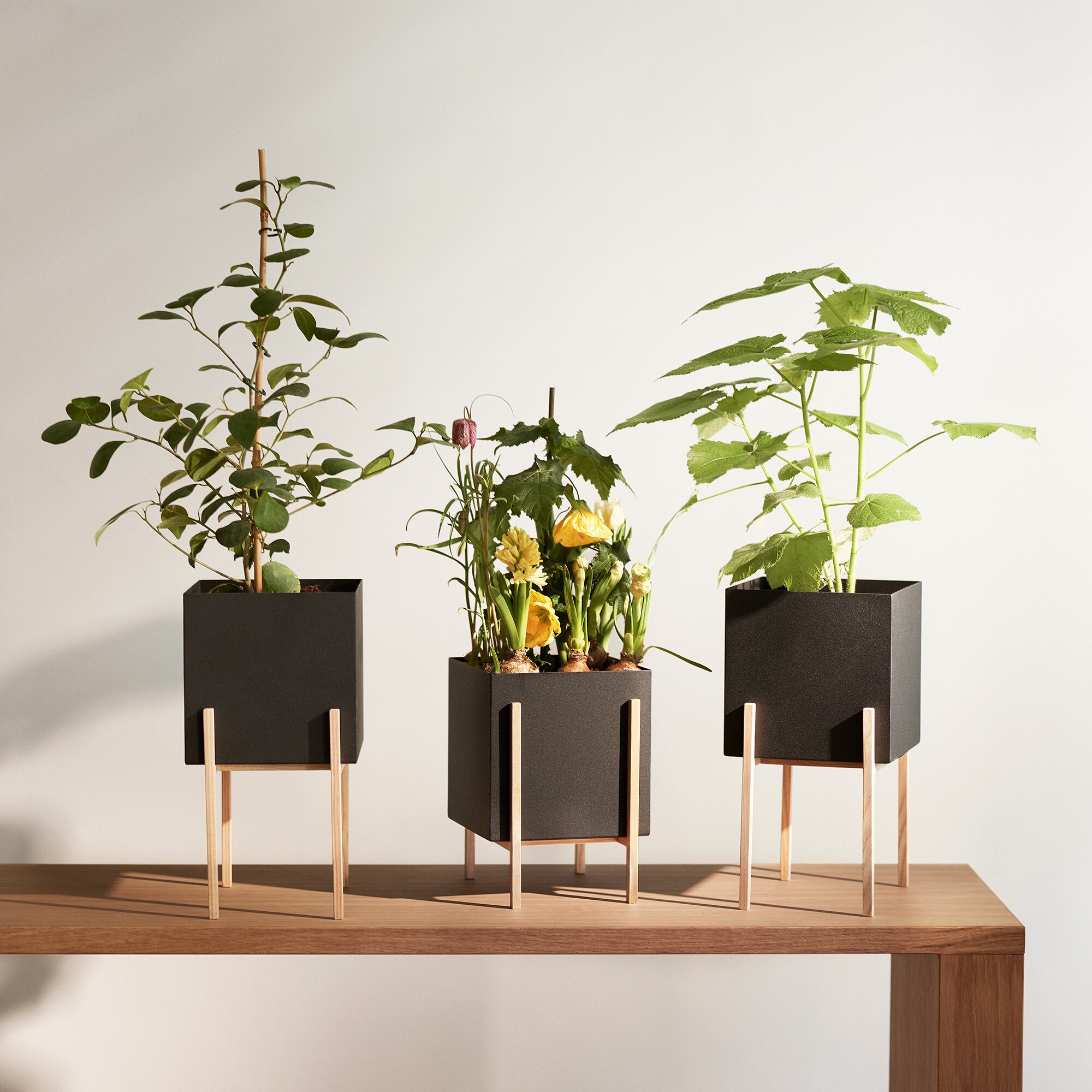 Botanic Pedestal Pot