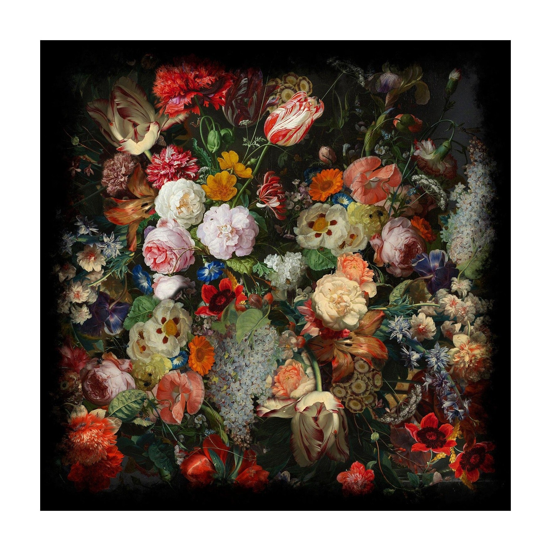 Eden Queen Carpet Square