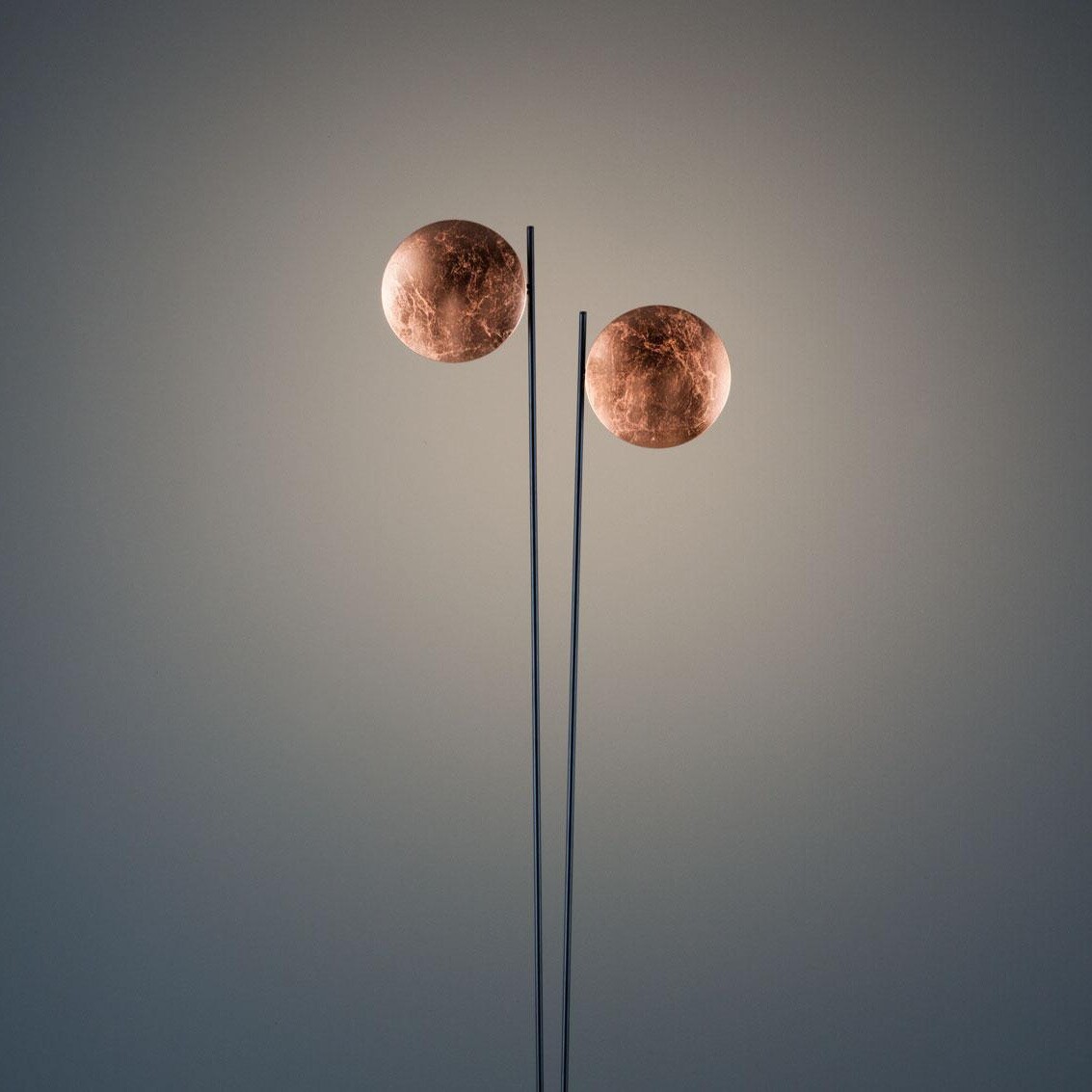 Lederam F2 LED Floor Lamp