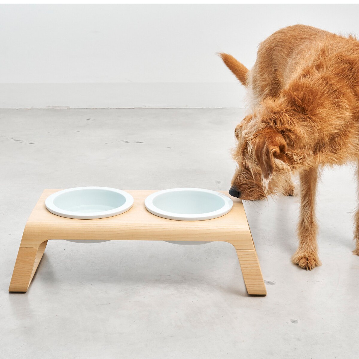 Desco Dog Bowl Stand Wood with Porcelain Bowls M