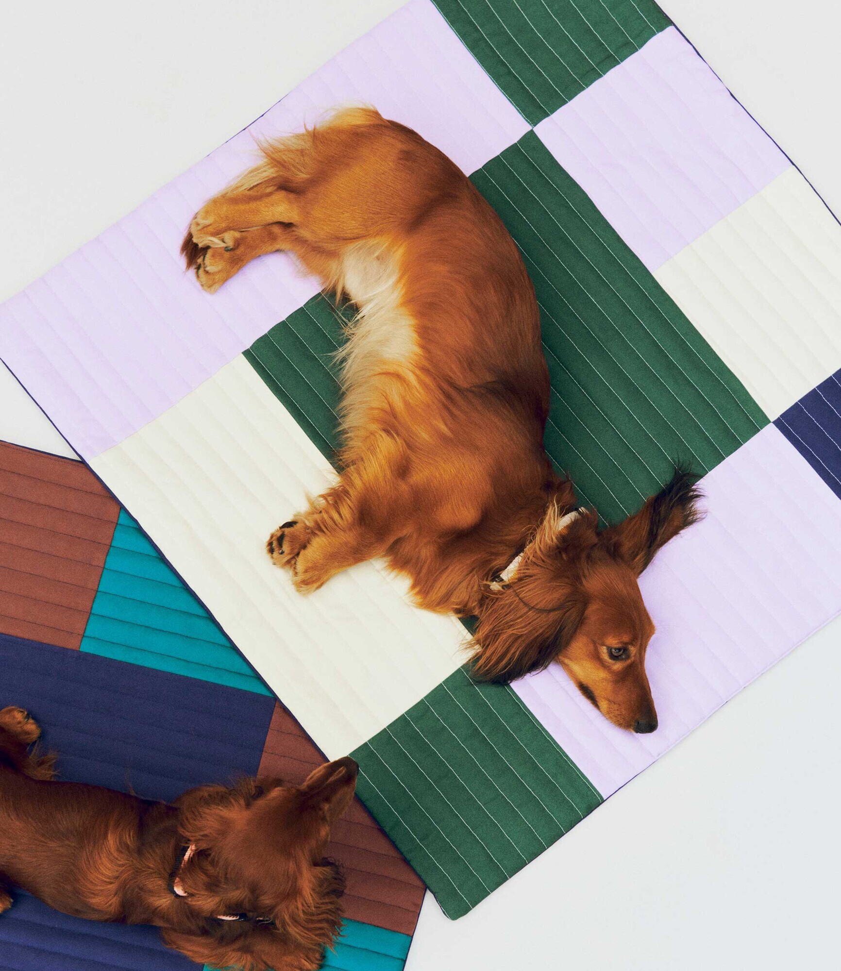 Dog Travel Blanket 80x80cm