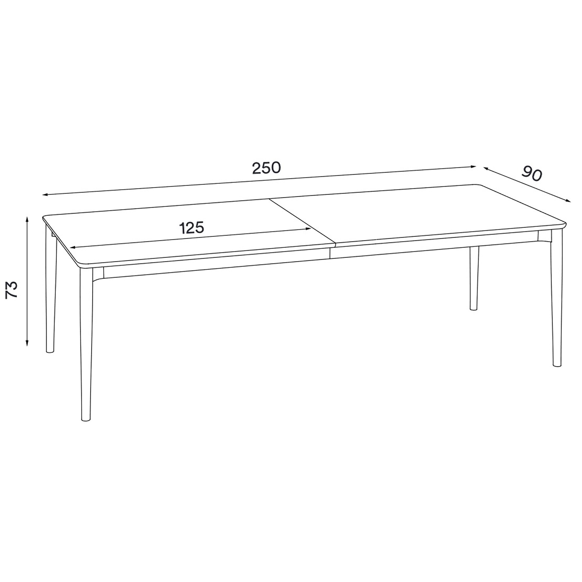 Expand Dining Table 250x90cm