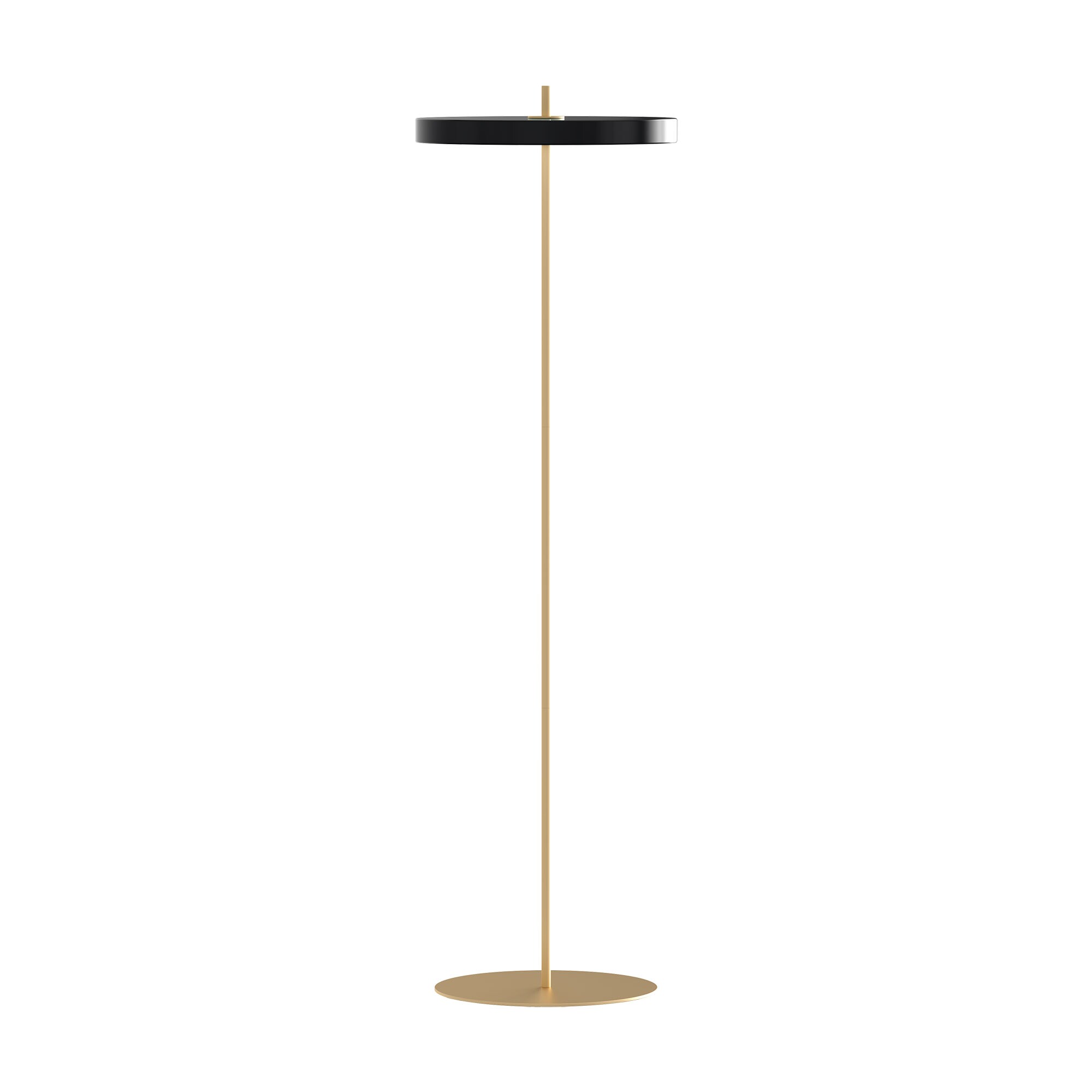 Asteria LED Floor Lamp
