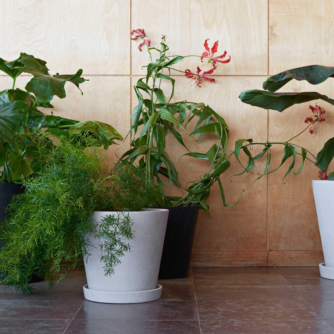 Flowerpot With Saucer L