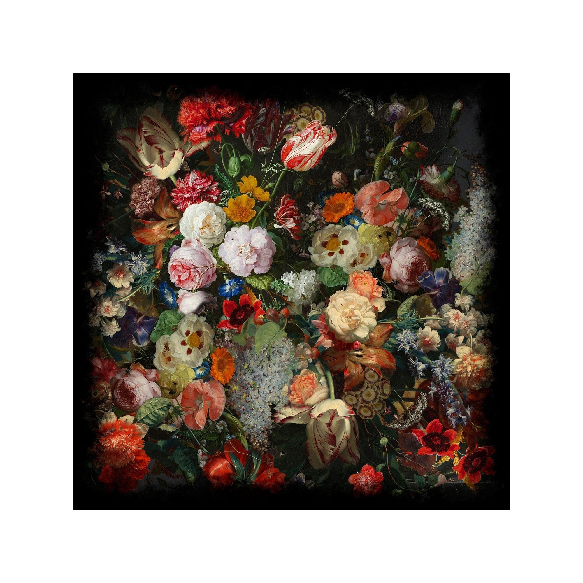 Eden Queen Carpet Square