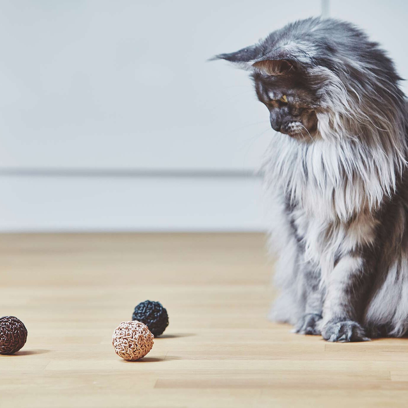 Filo Cat Toy Ball Set of 3