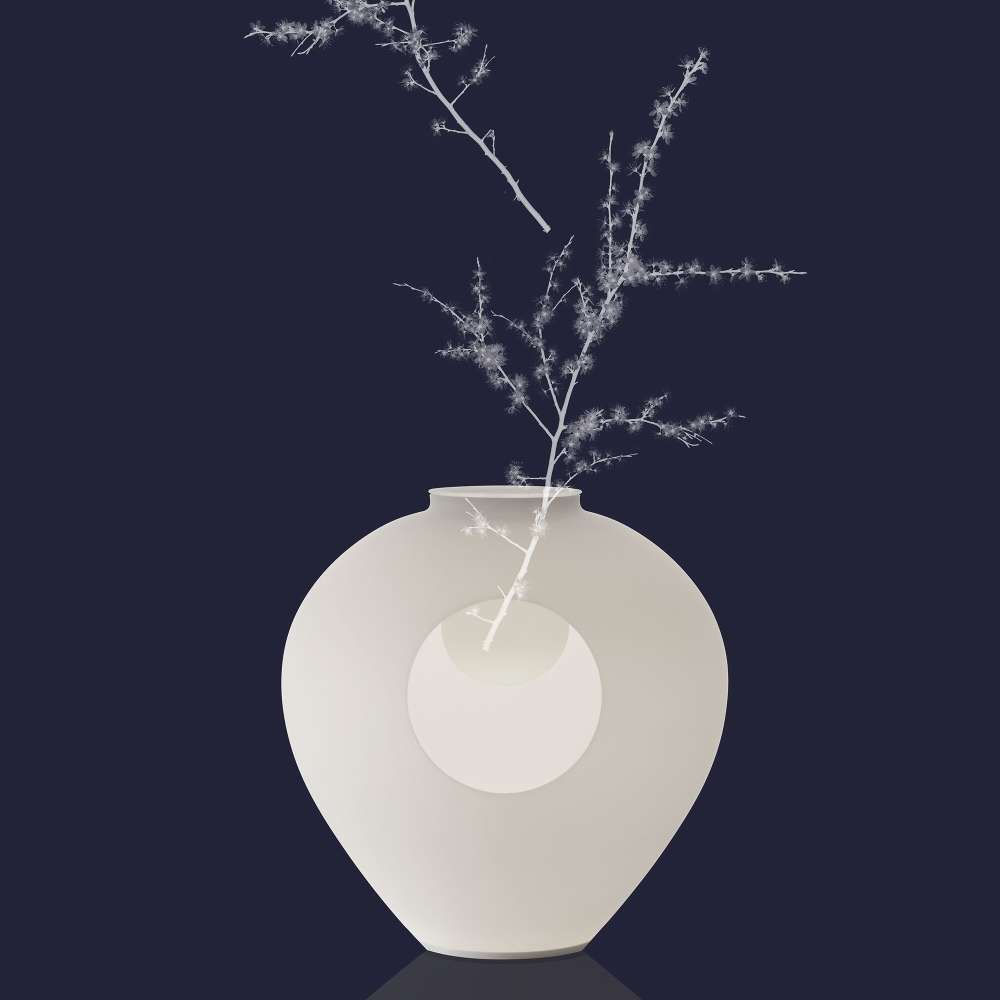 Madre LED Table Lamp