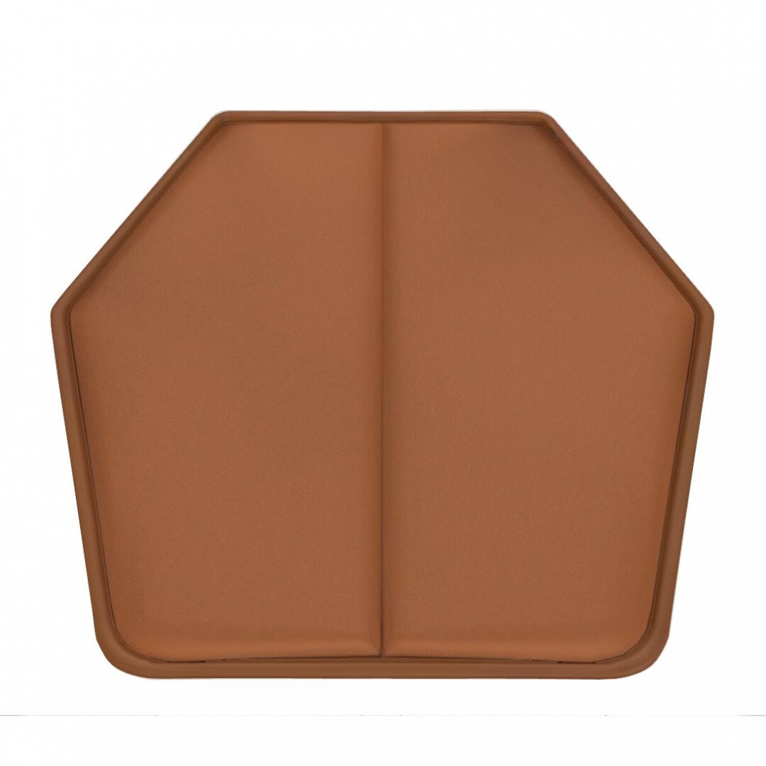 Chair One Seat Cushion Leather