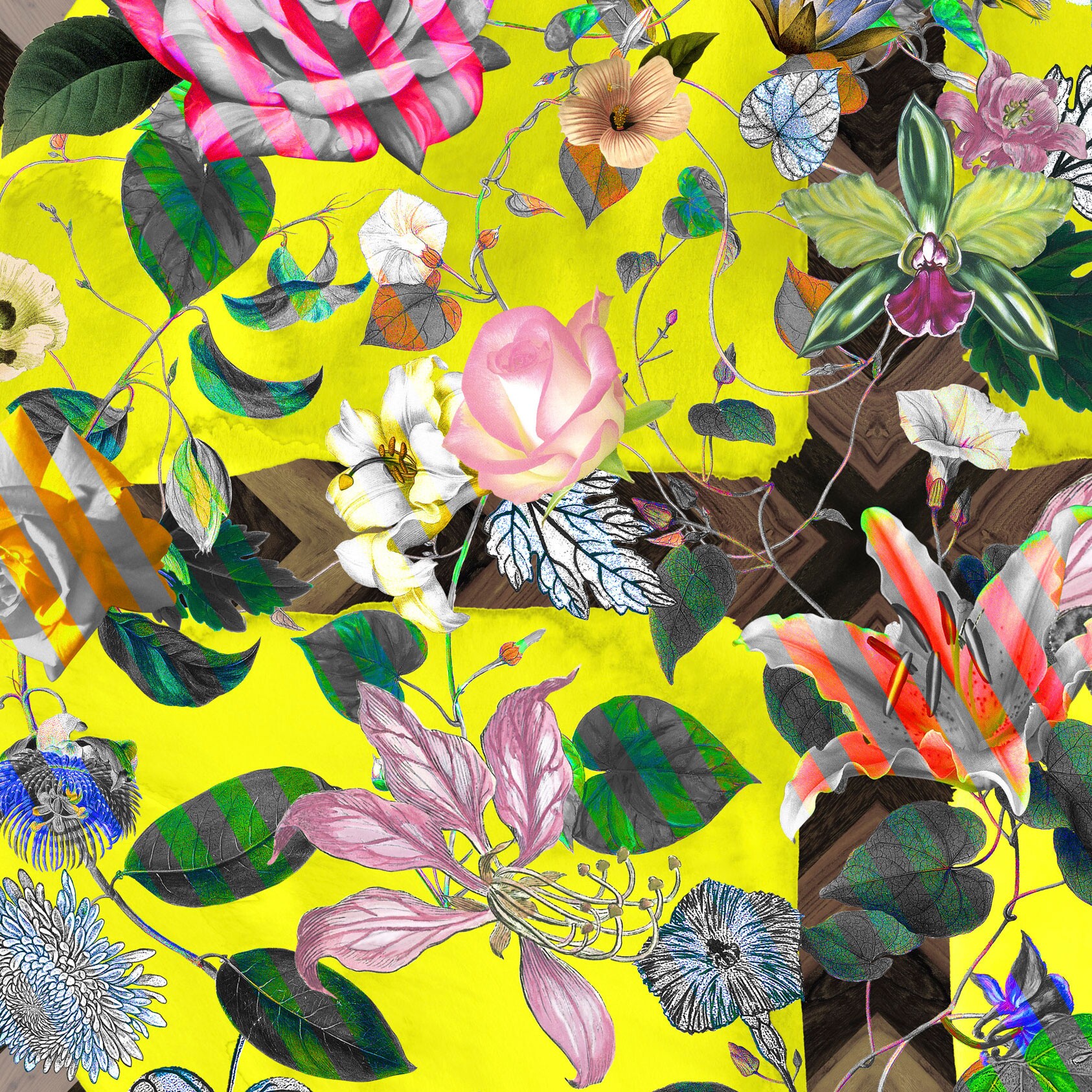 Malmaison Citrus Carpet