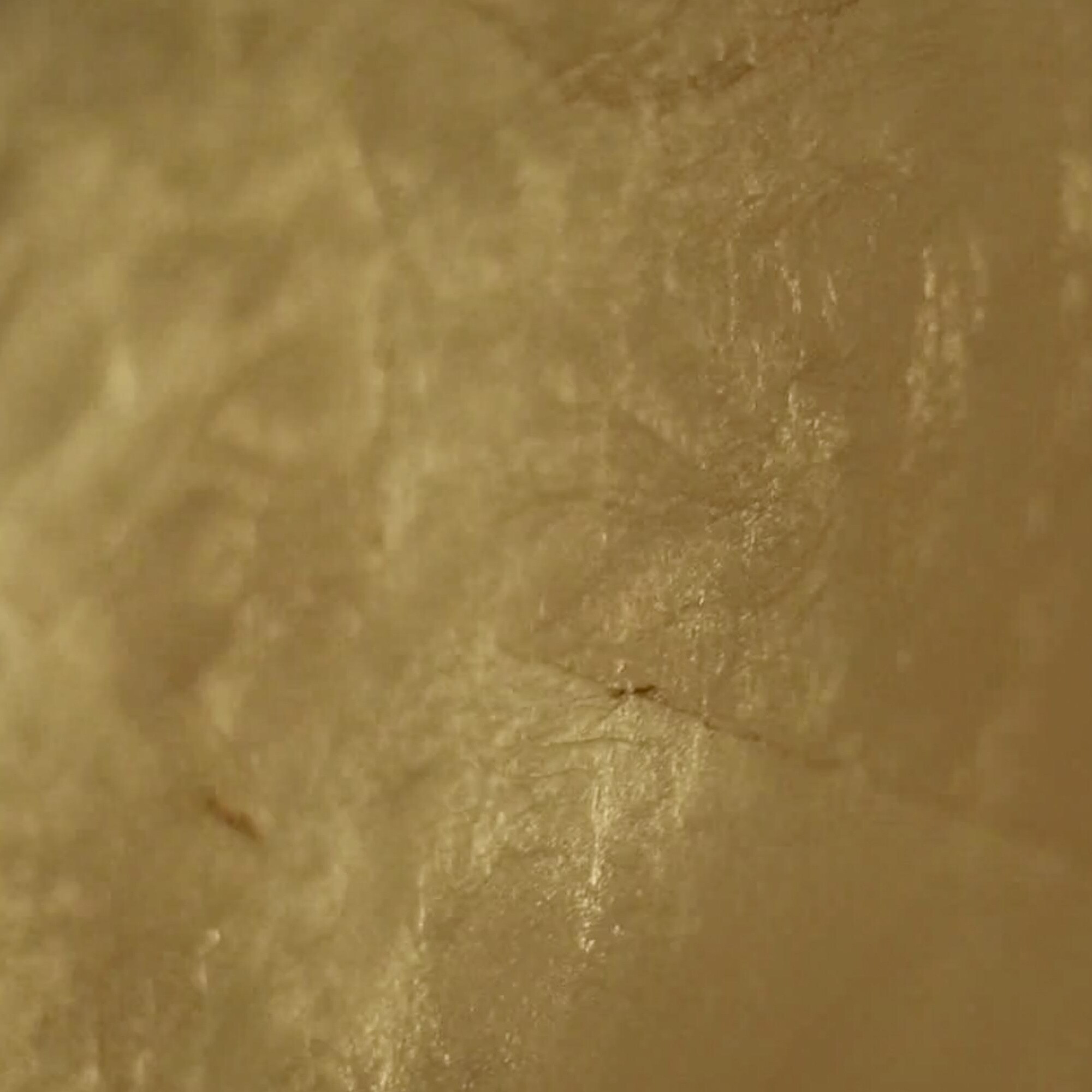 Luna W LED Wall Lamp