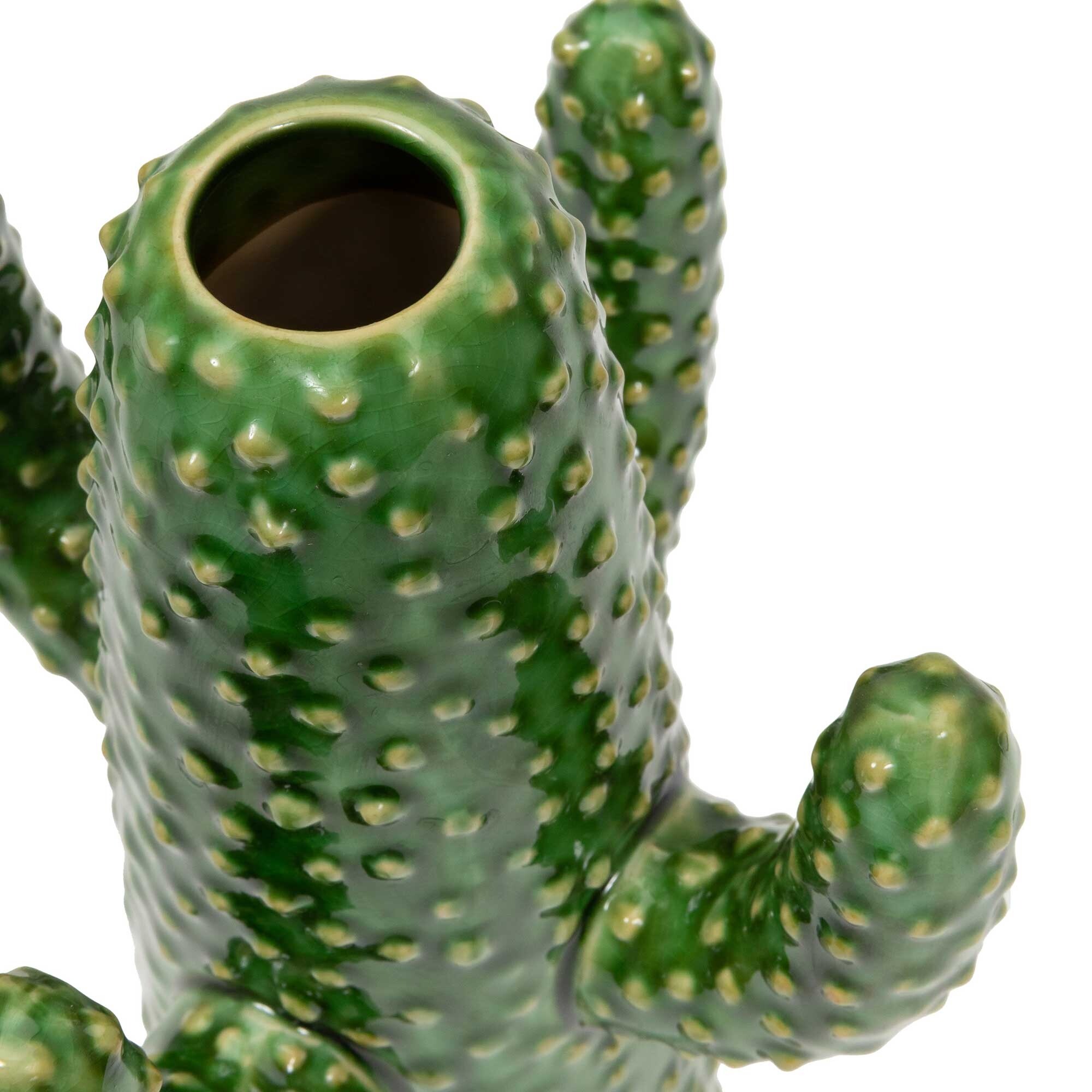 Cactus Vase M