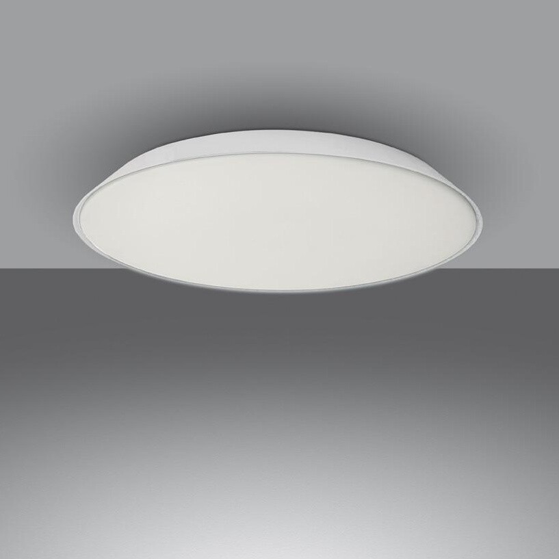 Febe LED Wall Lamp/ Ceiling Lamp
