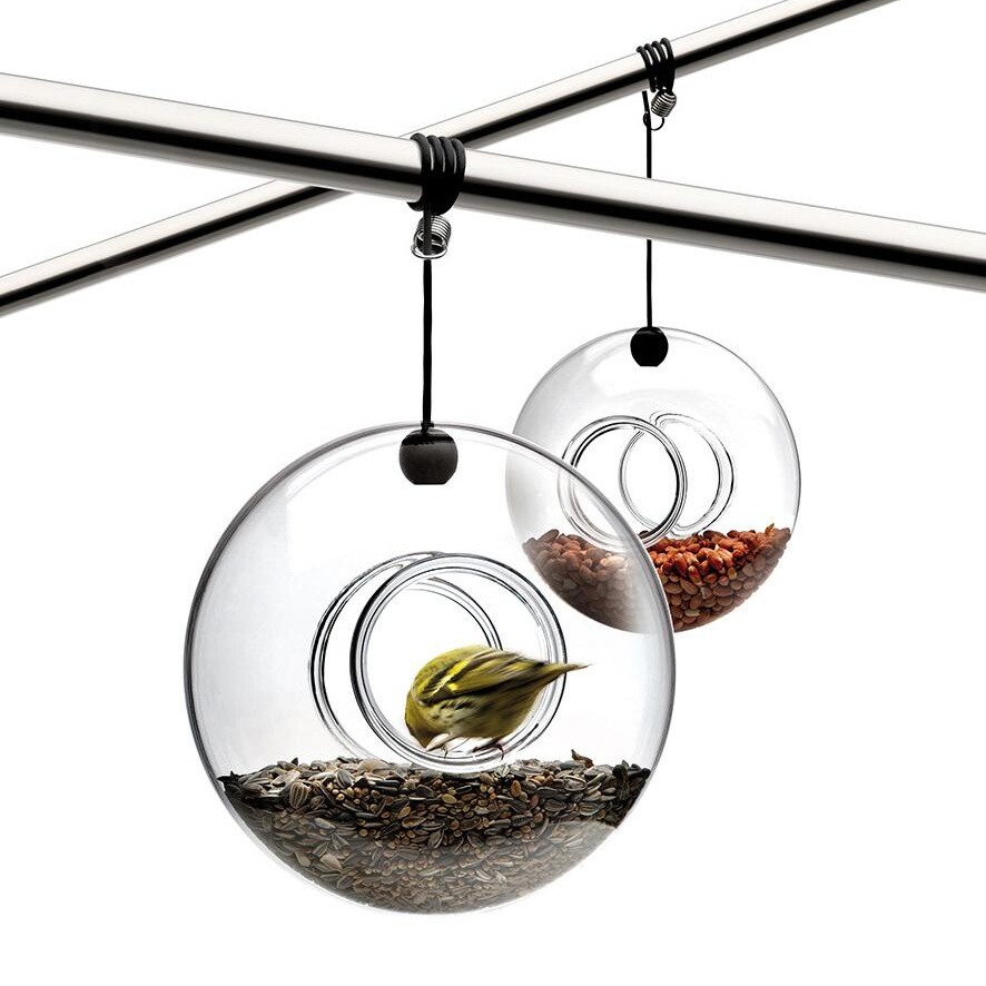 Bird Feeder